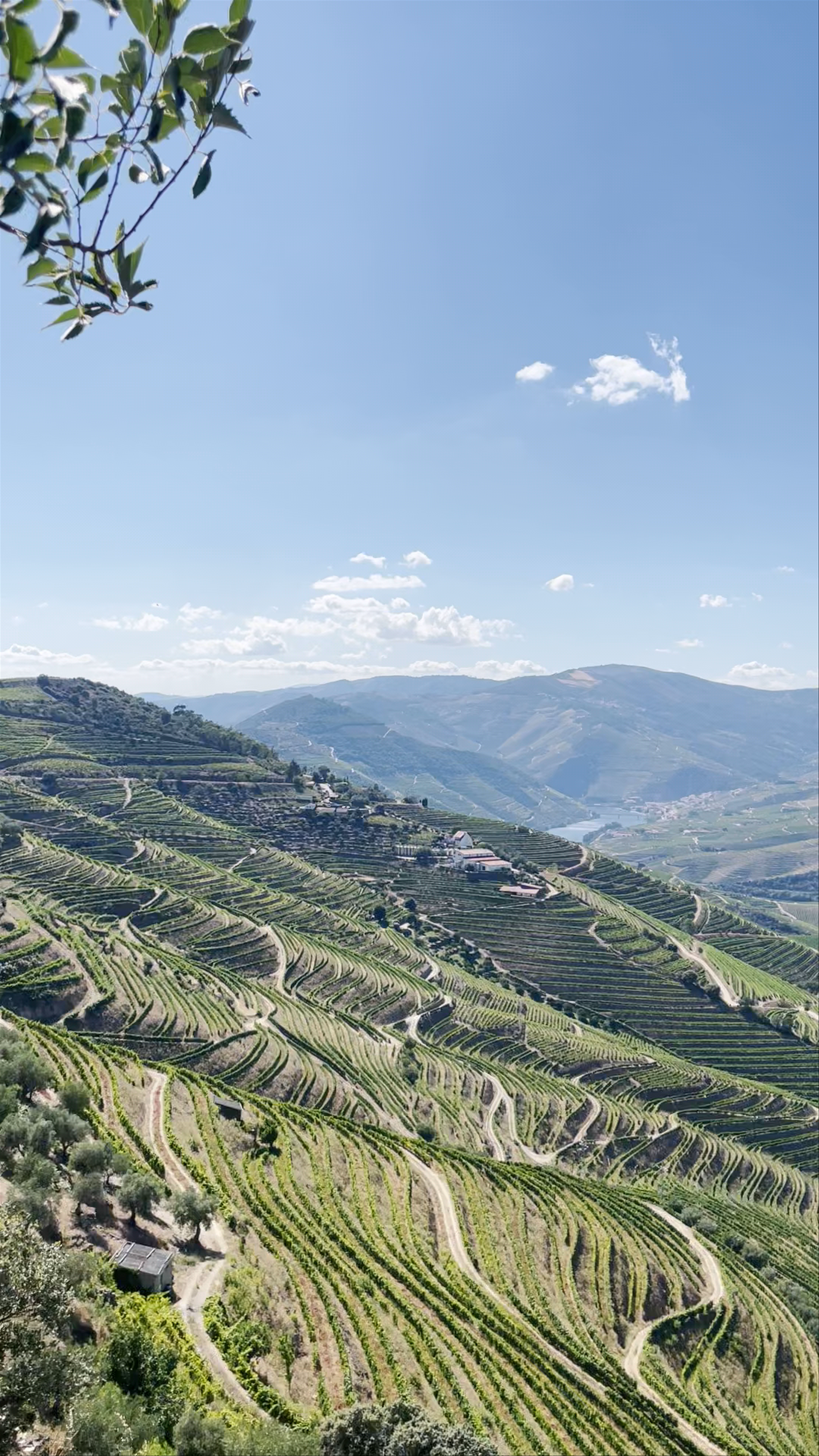 Miradouro da Abelheira