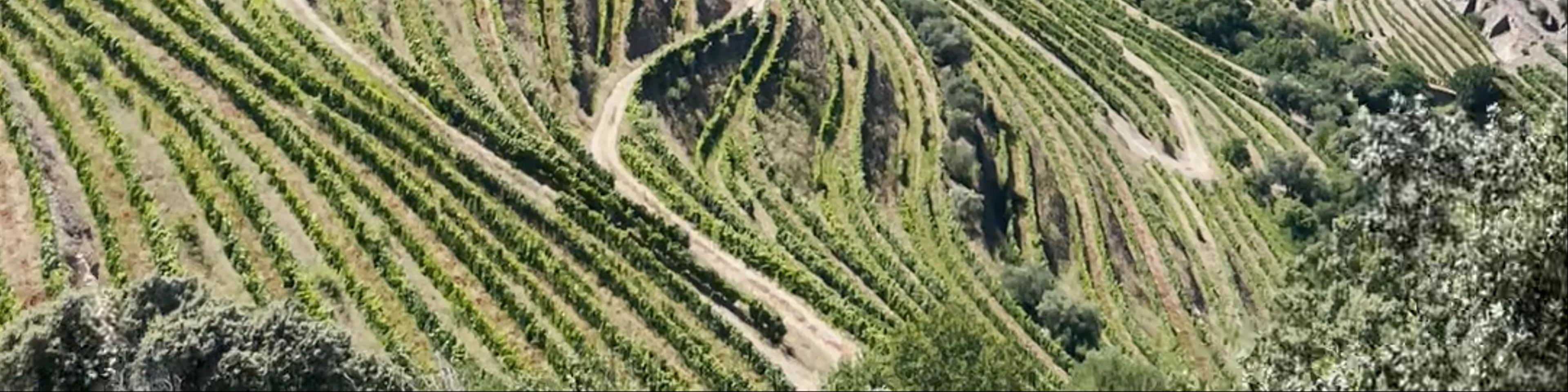 Miradouro da Abelheira