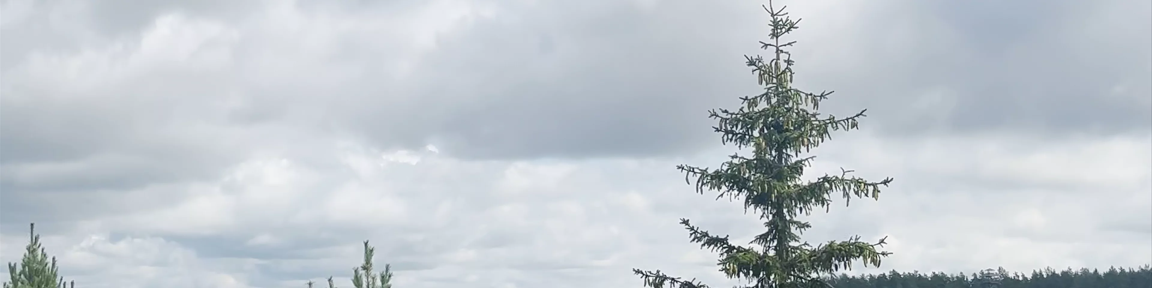 Krāslavas Piļu kalna skatu laukums