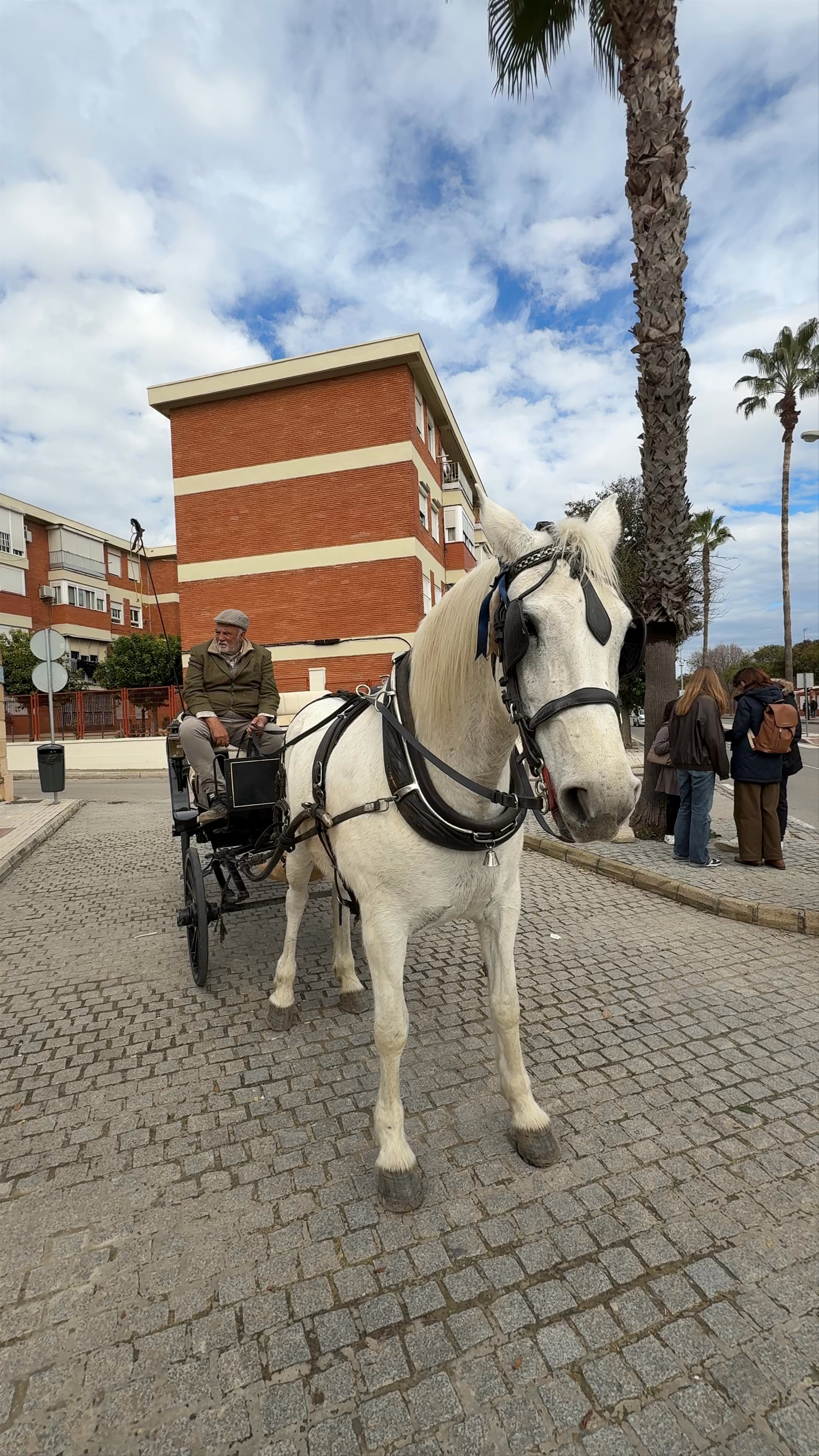 Real Escuela Andaluza del Arte Ecuestre: Elegant Equestrian Tradition in Jerez