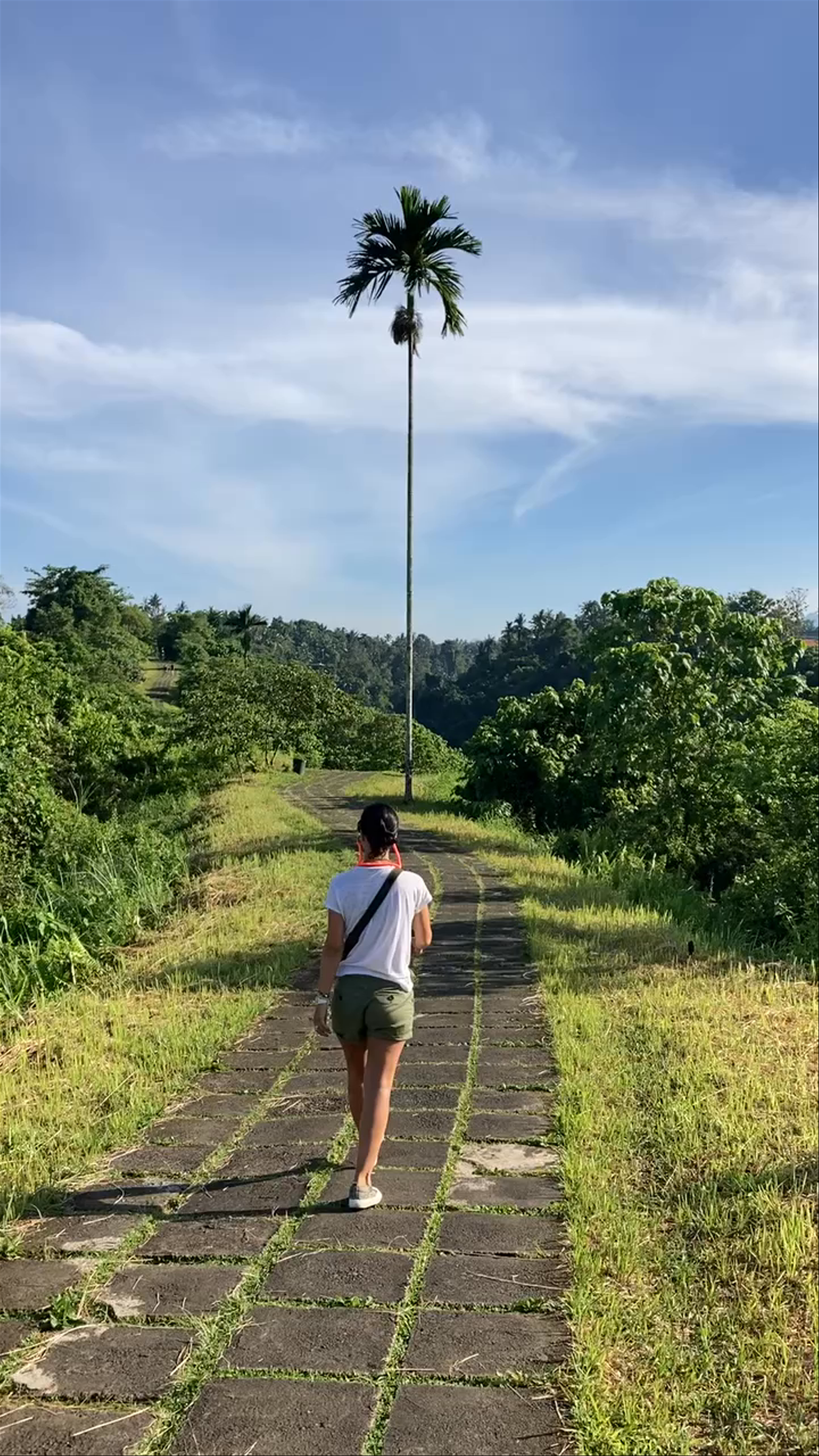 Serene Morning Walk at Campuhan Ridge Walk in Bali