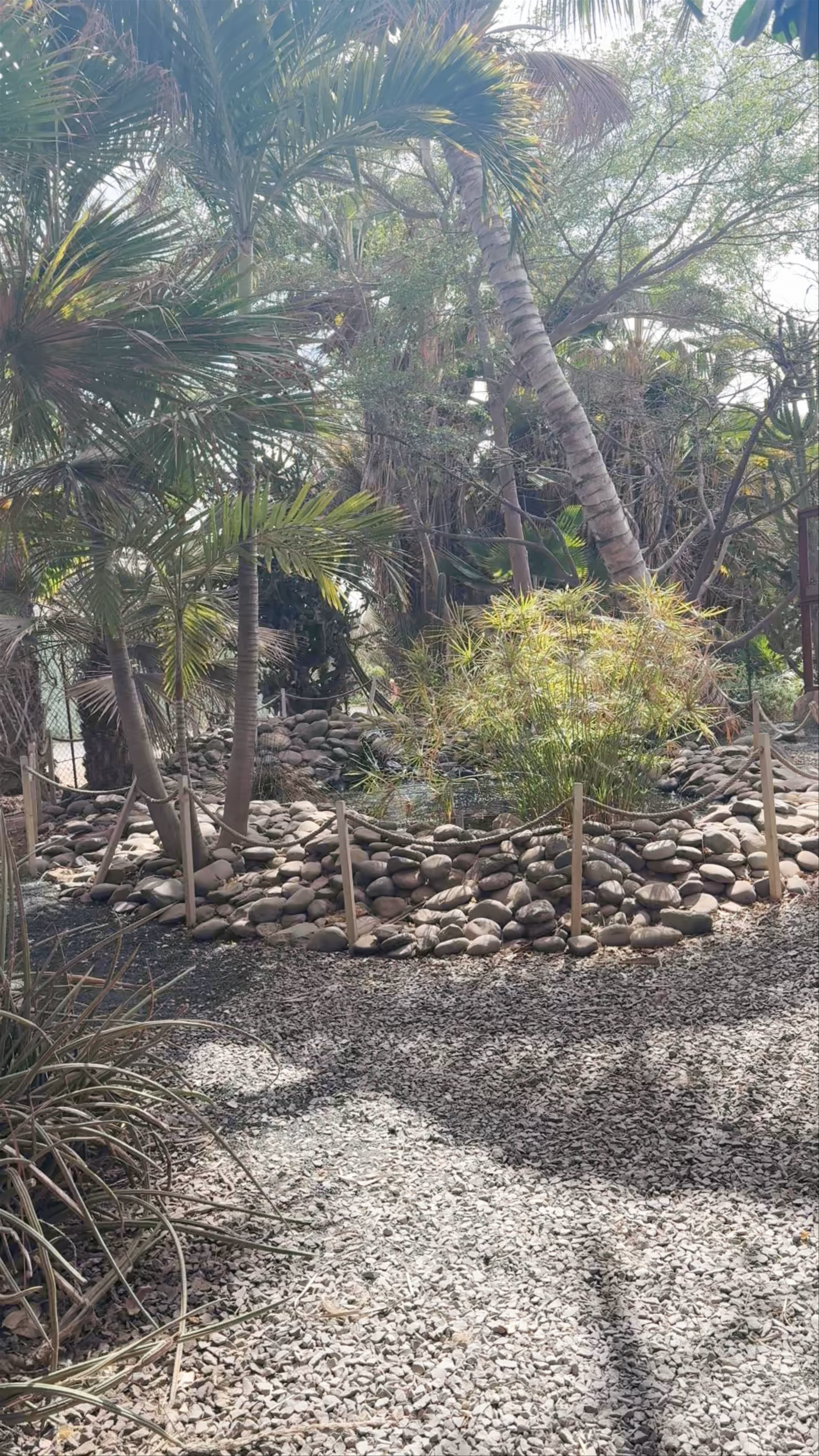 Pachamama Eco Park: Tranquil Botanical Escape in Sal, Cape Verde