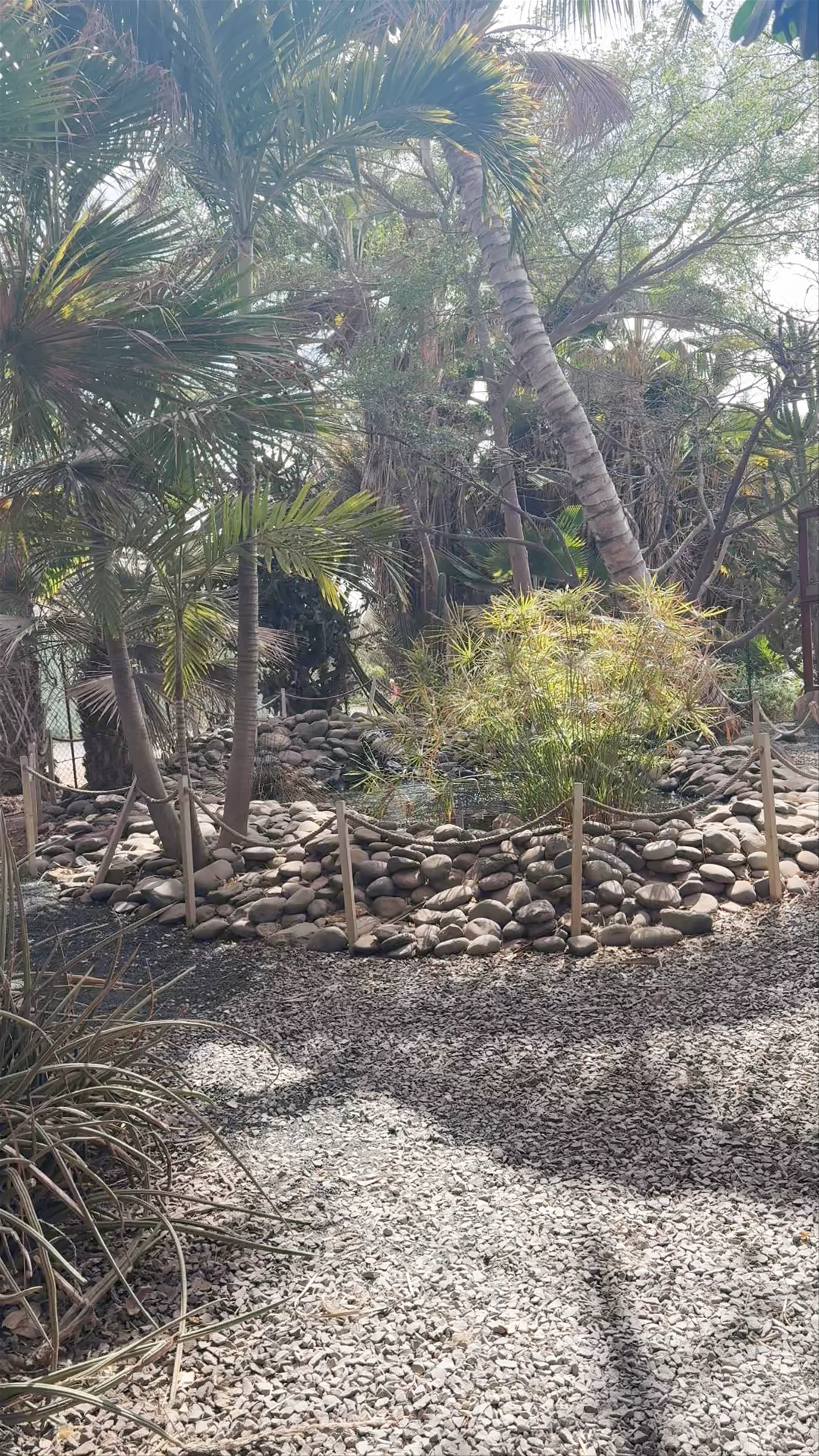 Pachamama Eco Park - Viveiro Botanical Garden