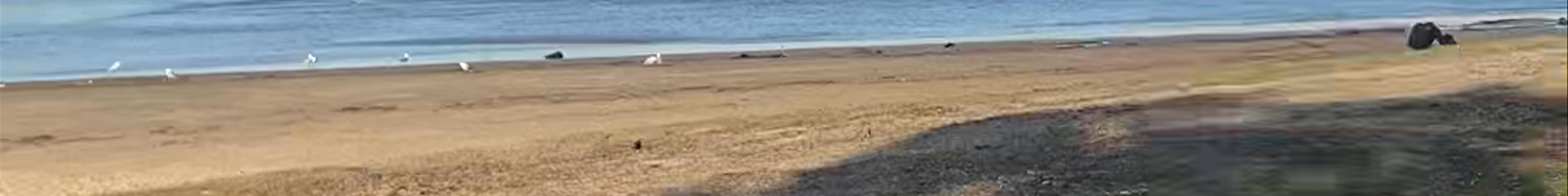 Tours & experiences in Wollongong