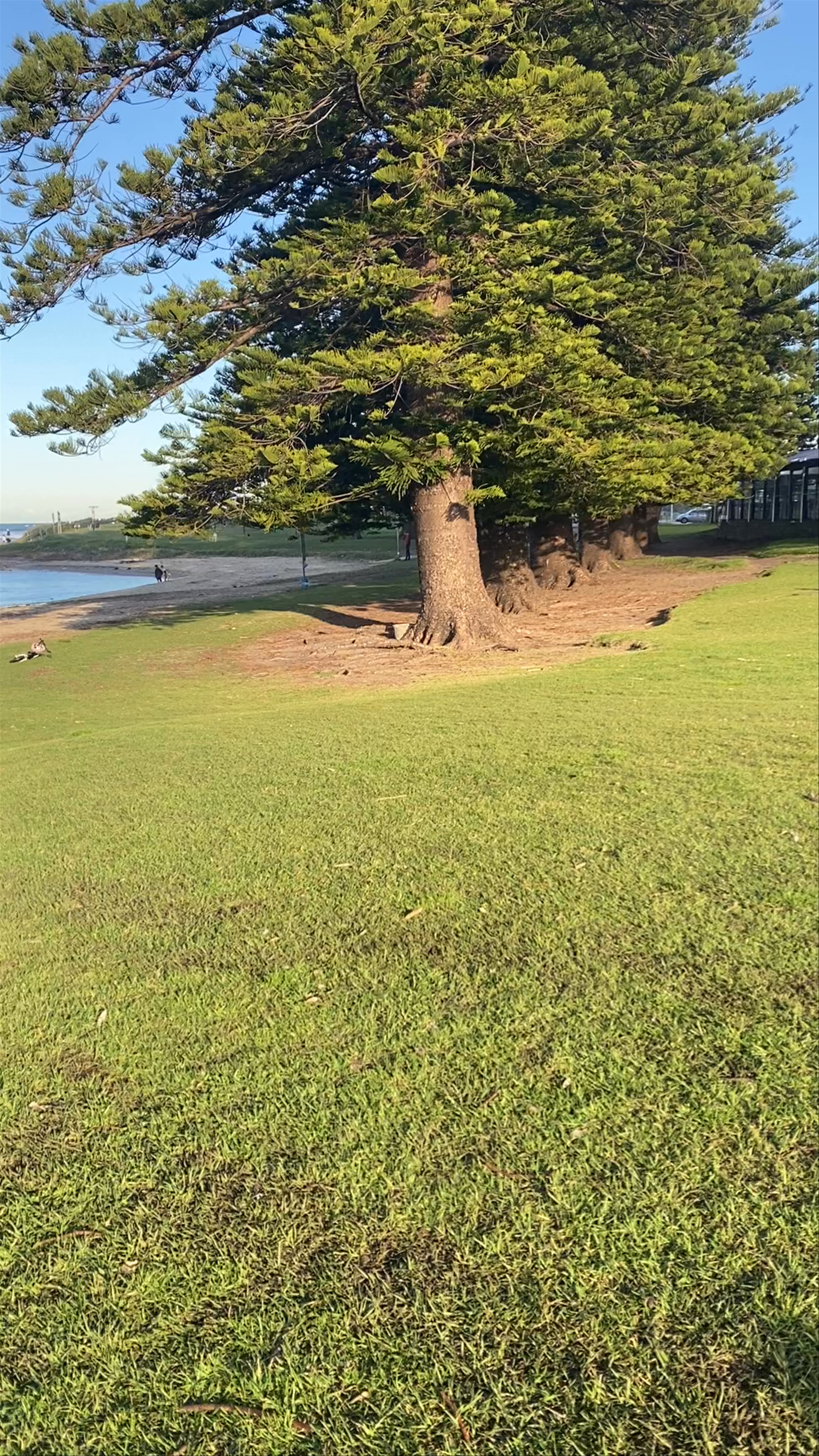 Serene Coastal Escape at Puckey's Lagoon, North Wollongong