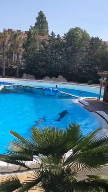 Lisbon Zoo