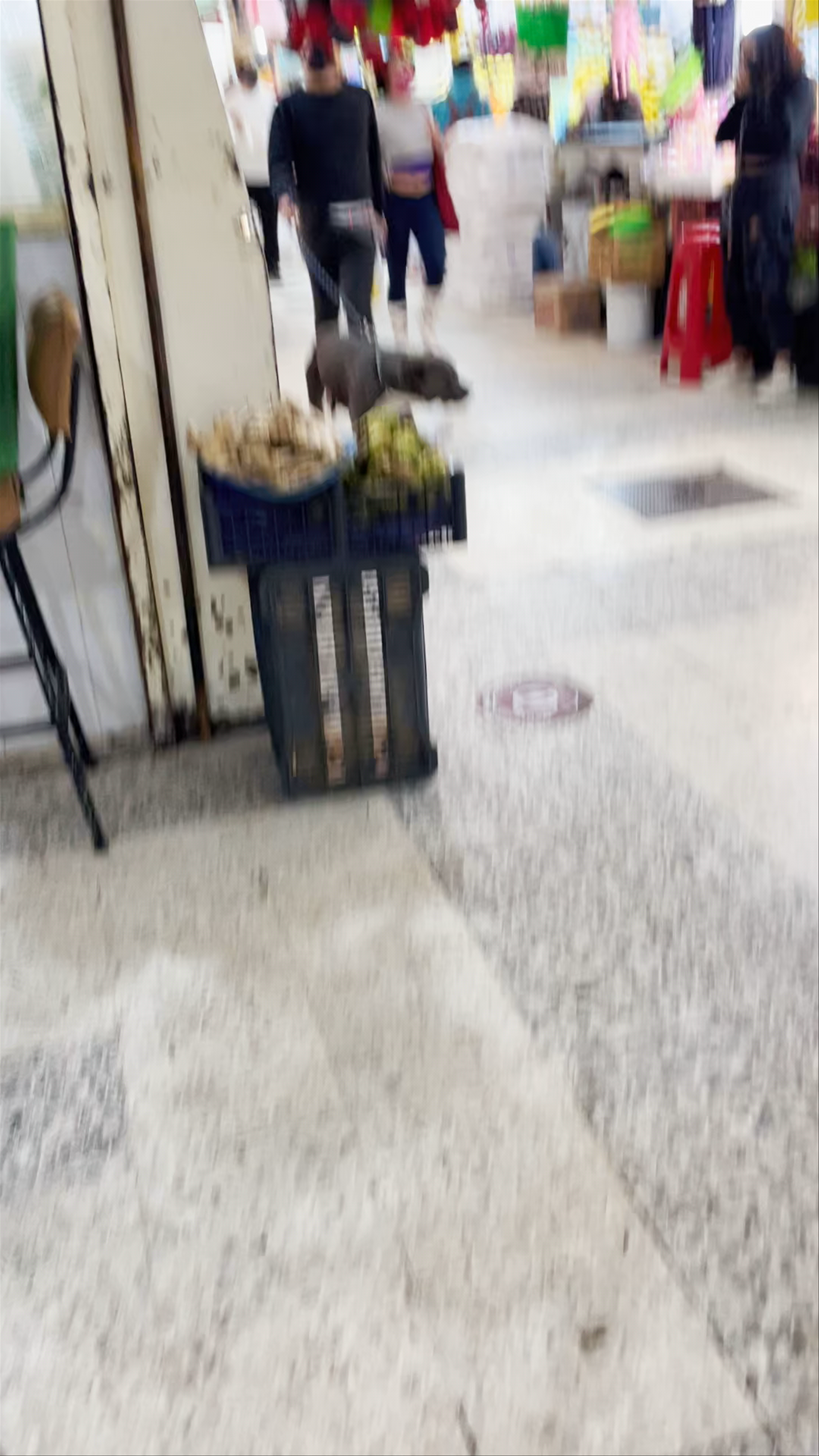 Mercado de Xochimilco