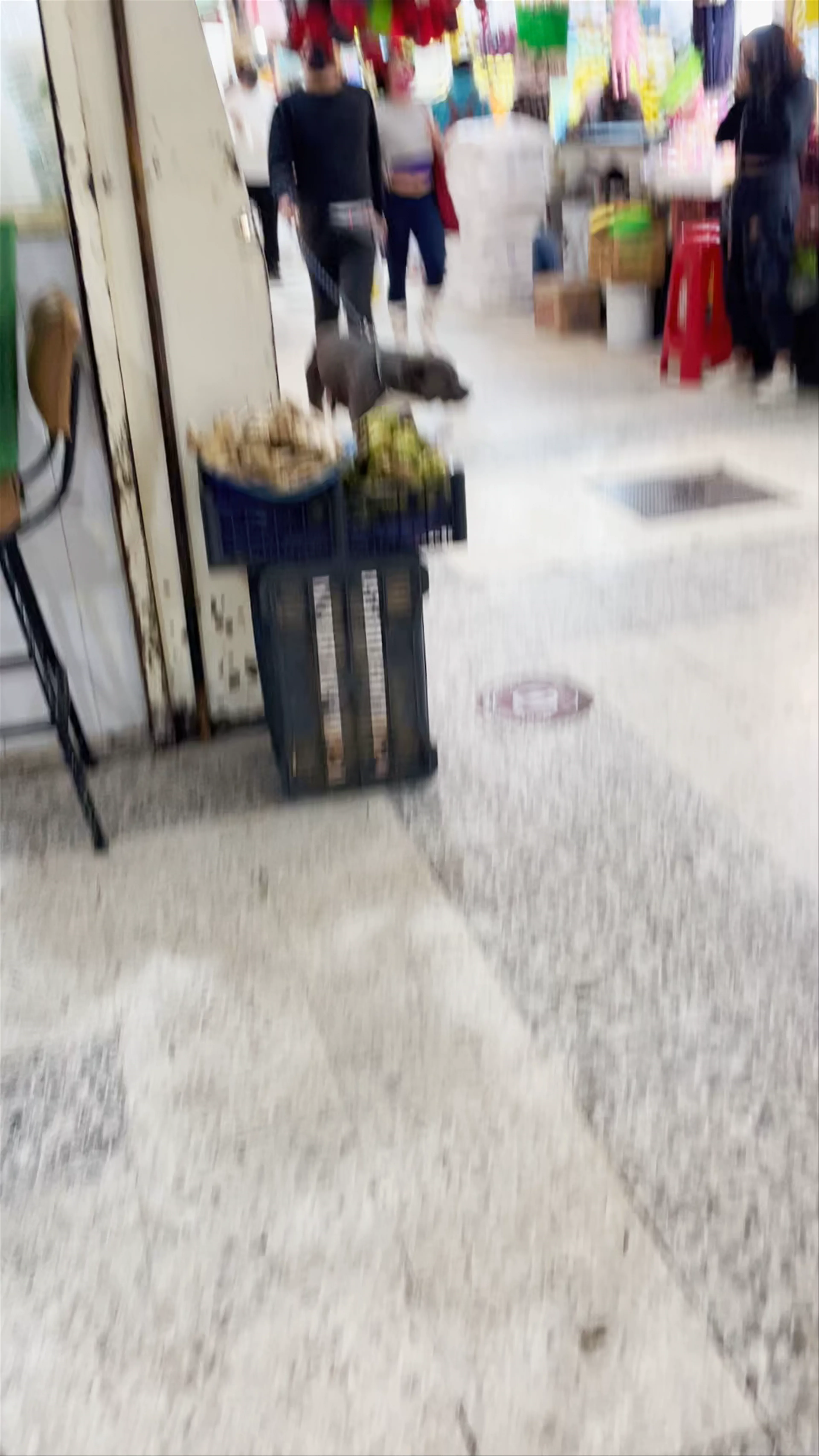 Mercado de Xochimilco