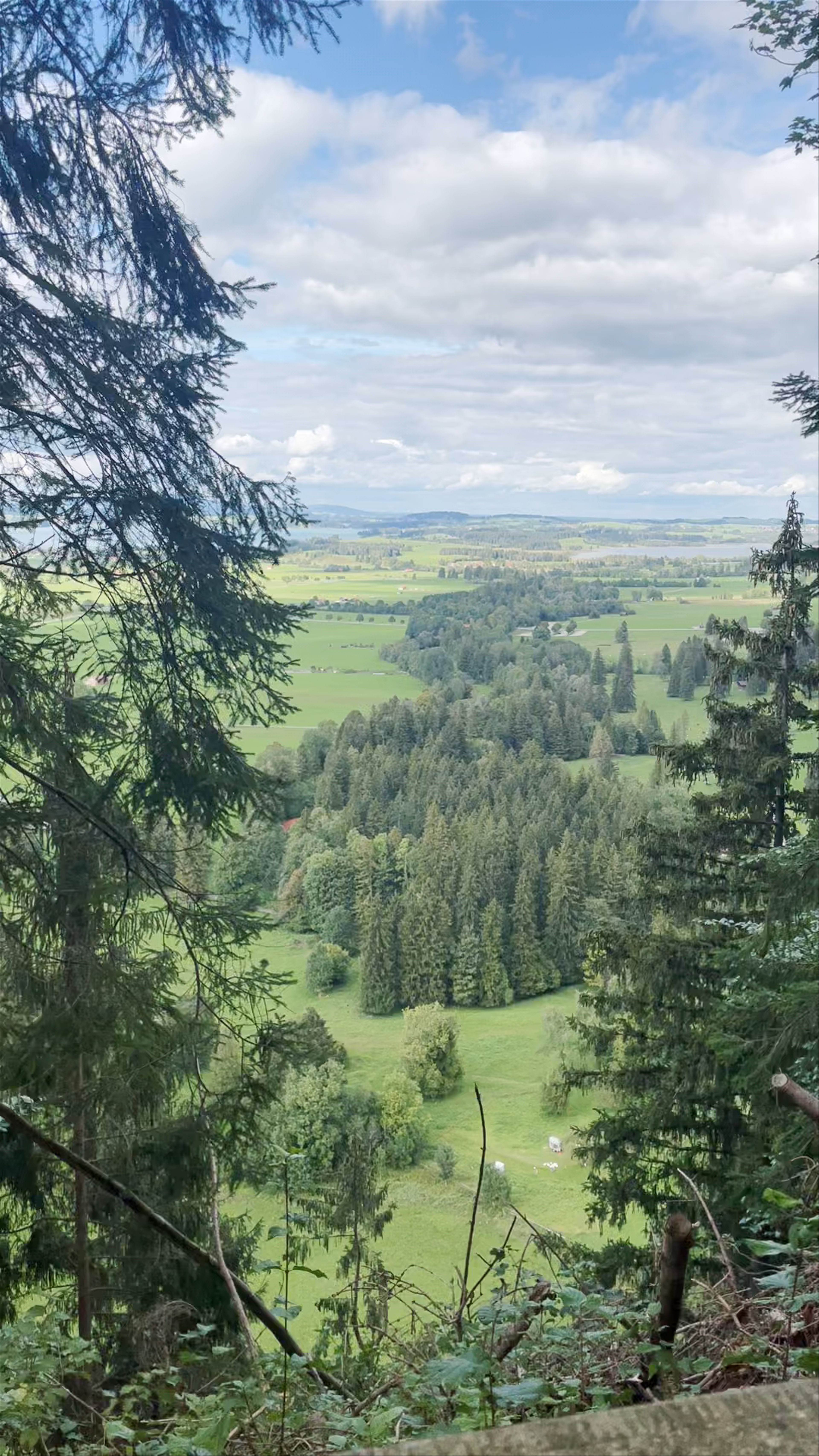Hohenschwangau Castle
