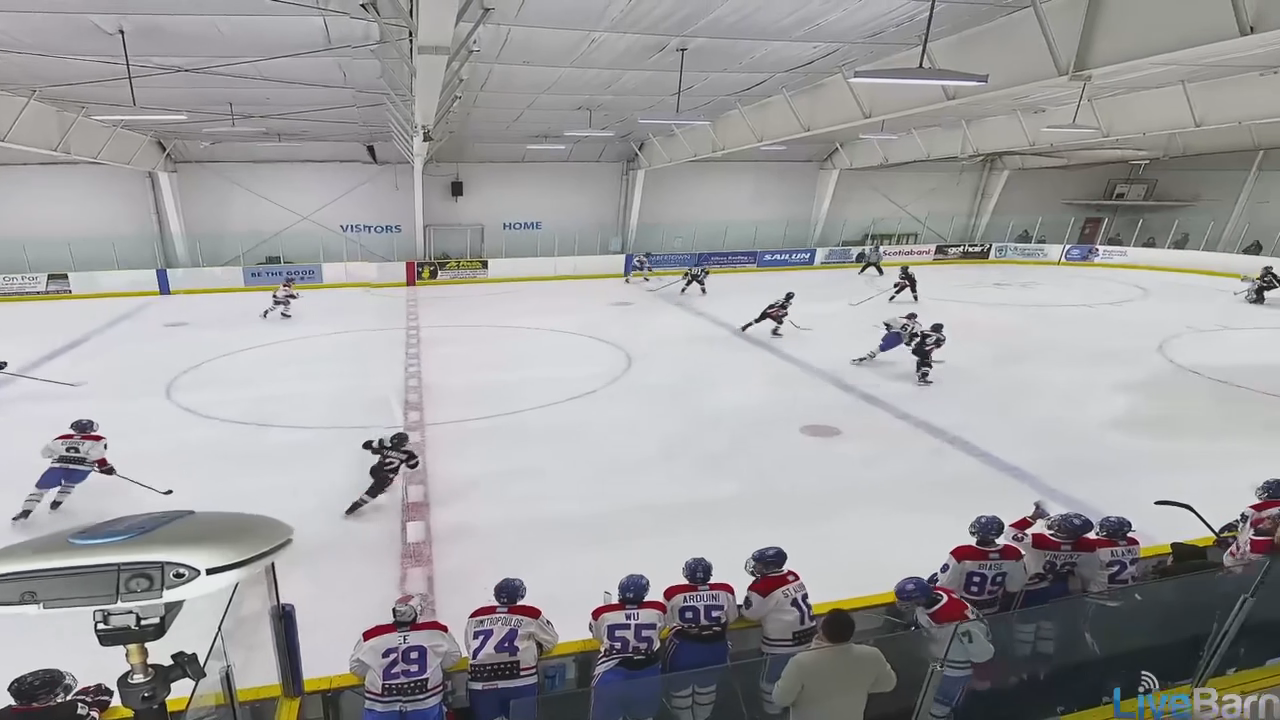 Gavin Perkovich: Chicago Reapers 14U AAA Highlight Reel