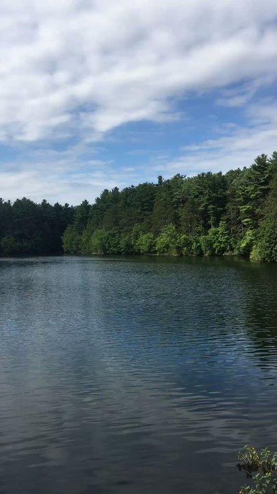 Middlesex Fells Reservation - Reservoir - Parks Near Me - Stoneham, Massachusetts