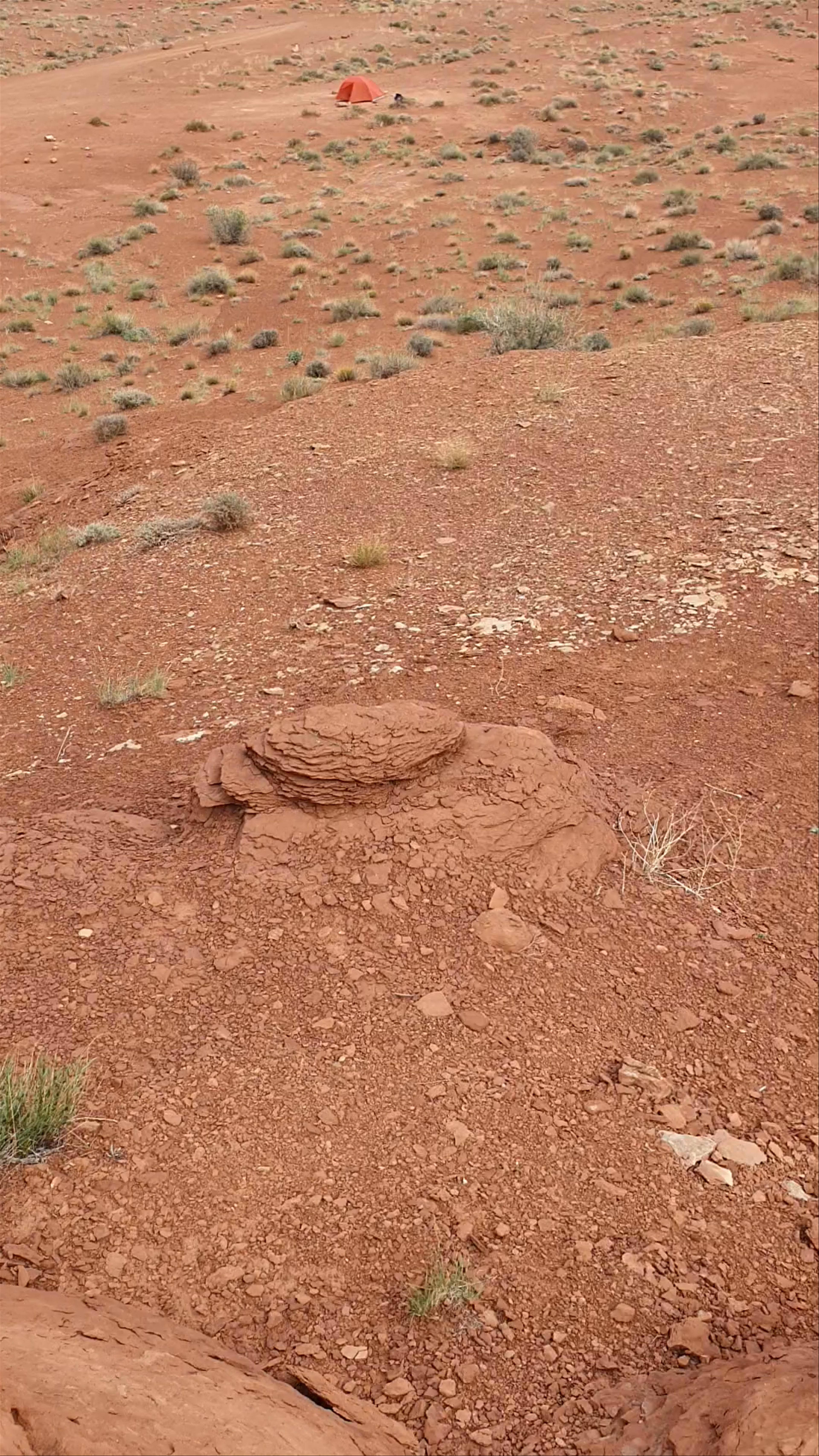 Airport Campground D, White Rim Road