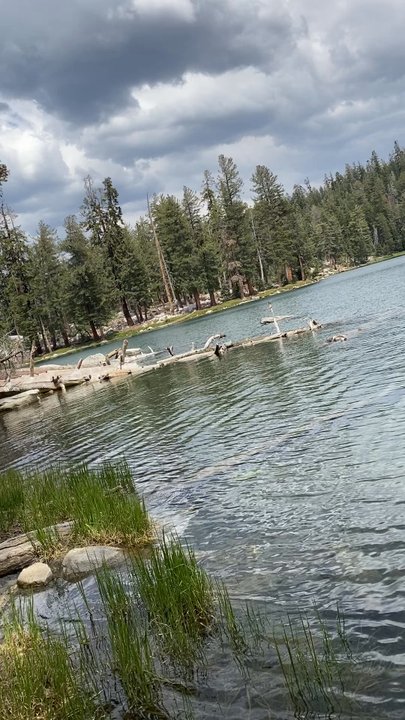 Jennie Lake - Swimming Pools Near Me - Dunlap, California