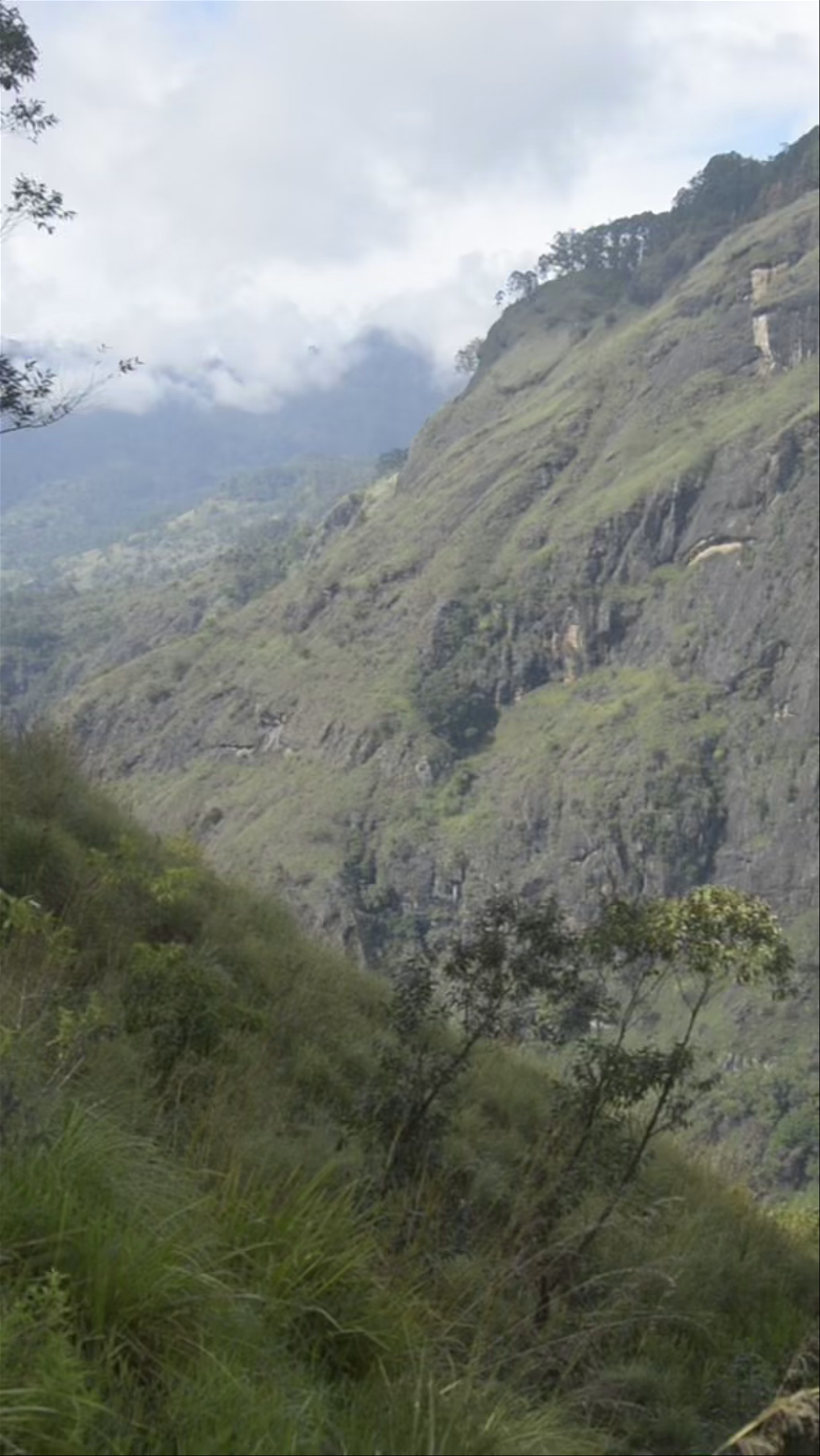 Little Adam's Peak: Serene Mountain Escape in Ella, Sri Lanka