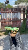 Small image 0