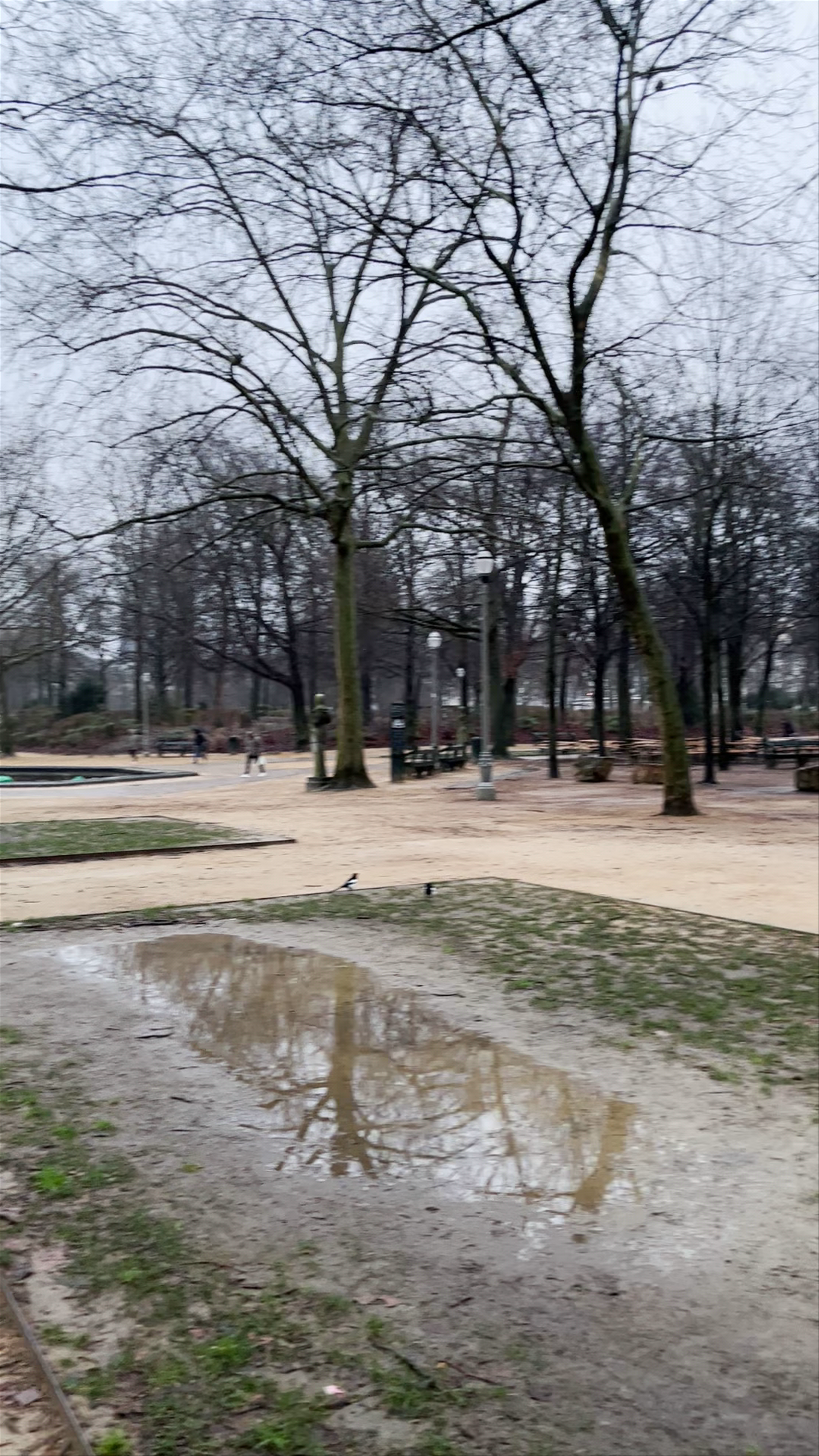 Parc de Bruxelles