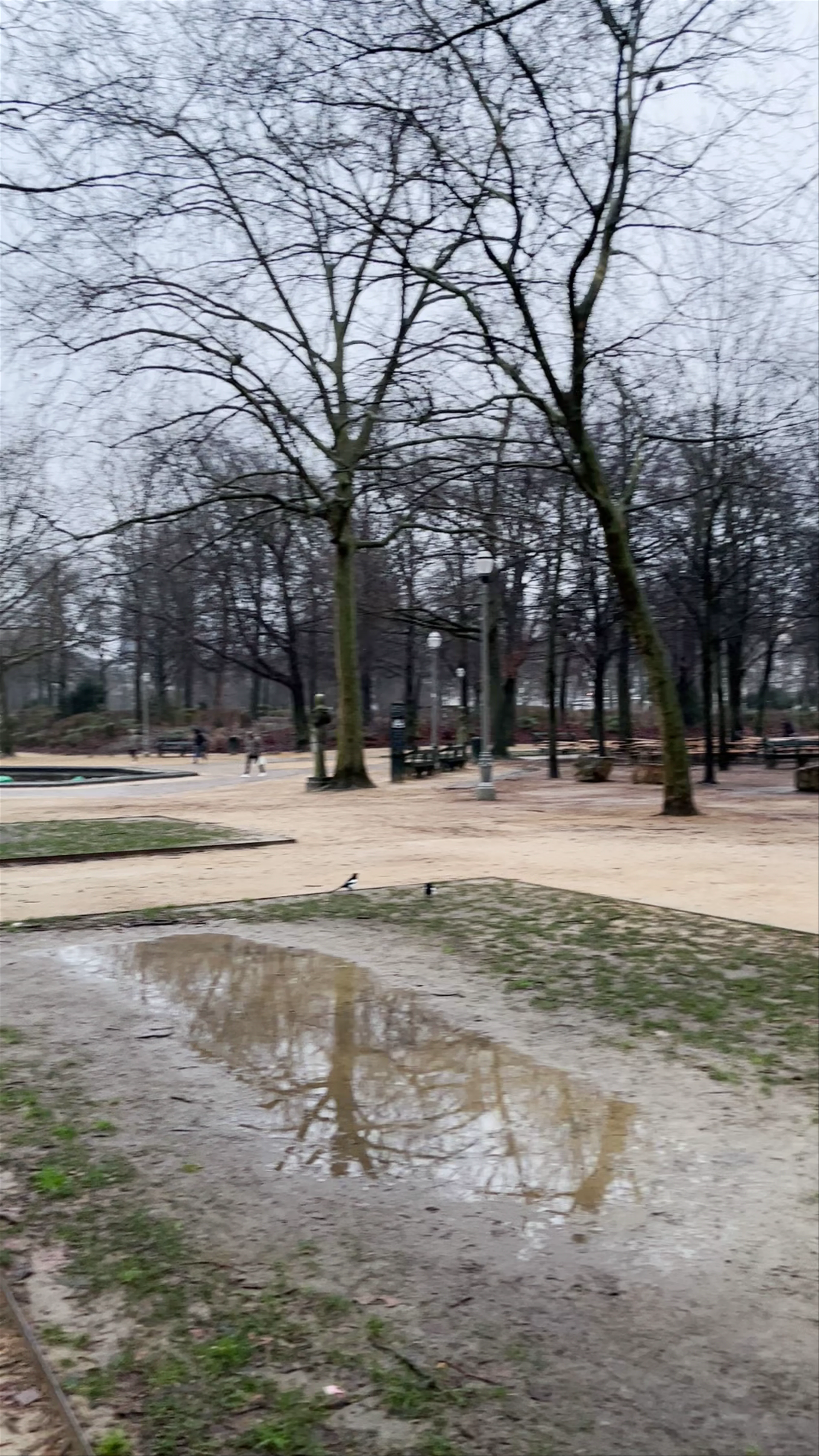 Parc de Bruxelles, Brussels, Belgium