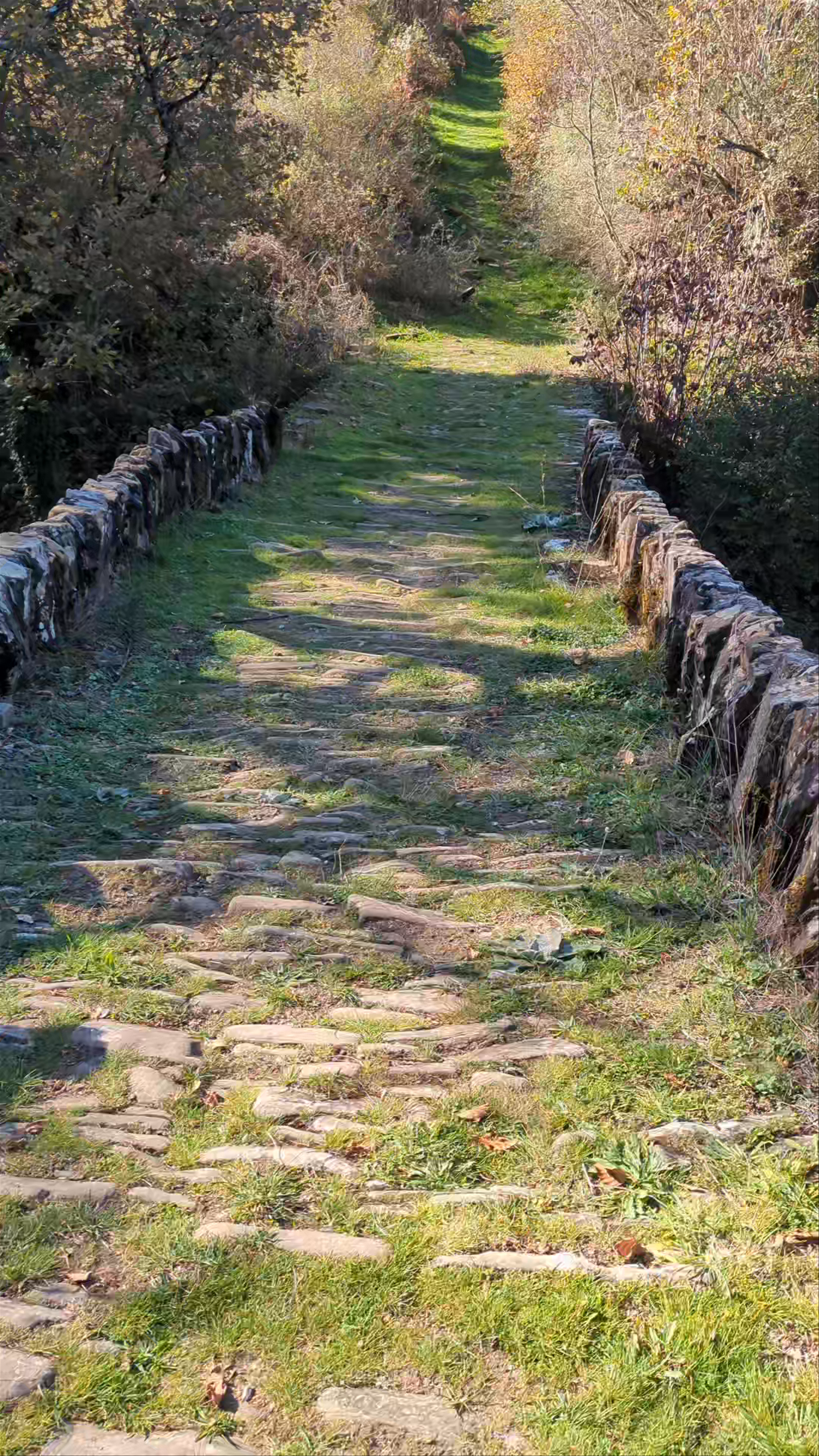 Pitsonis Bridge