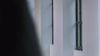 Ssstein - © Artlist