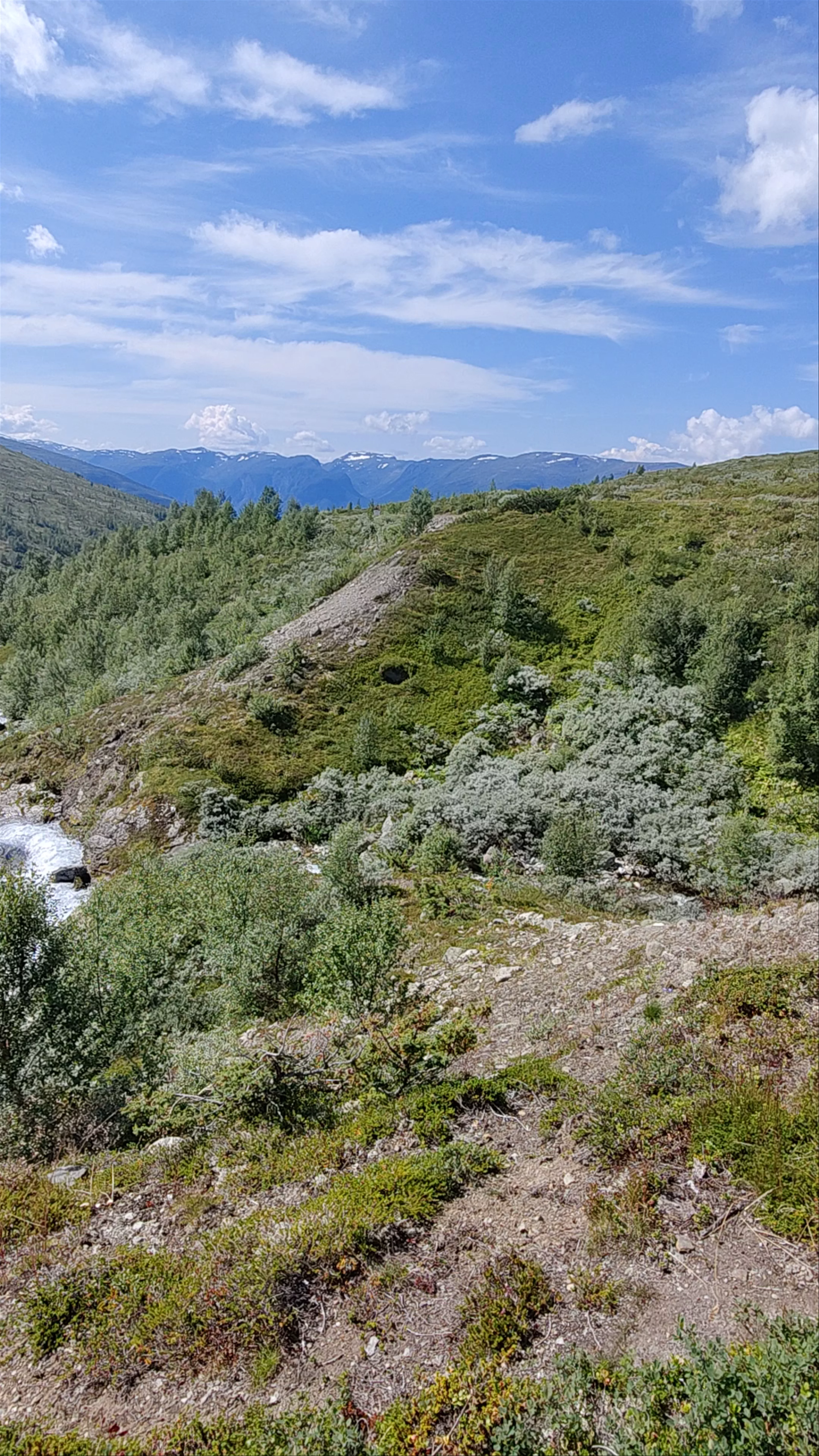 Omani Point, Aurlandsvegen