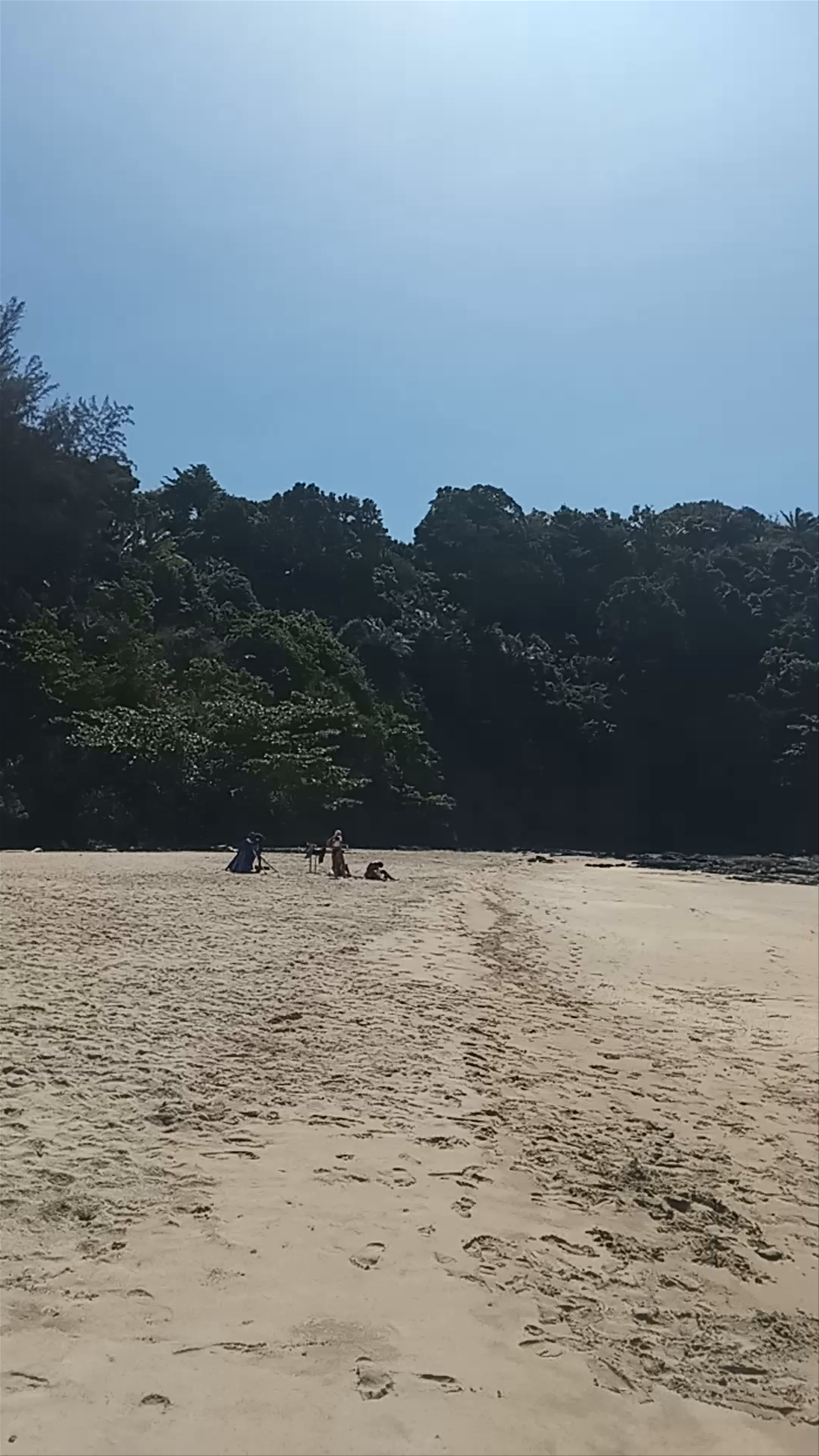 Bamboo Bay