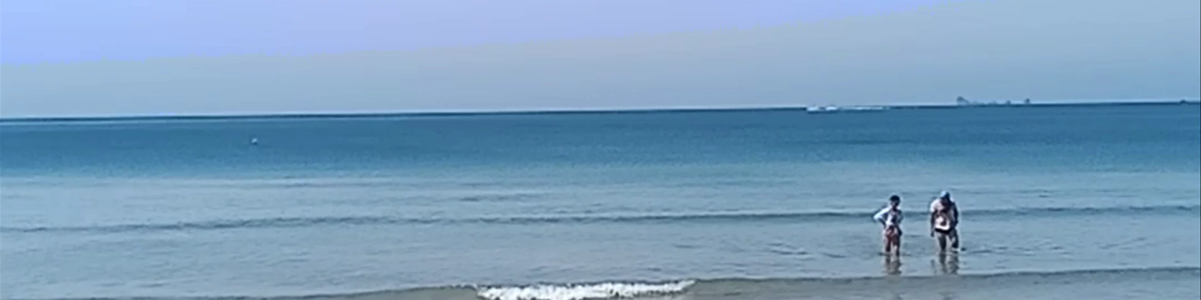 Bamboo Bay