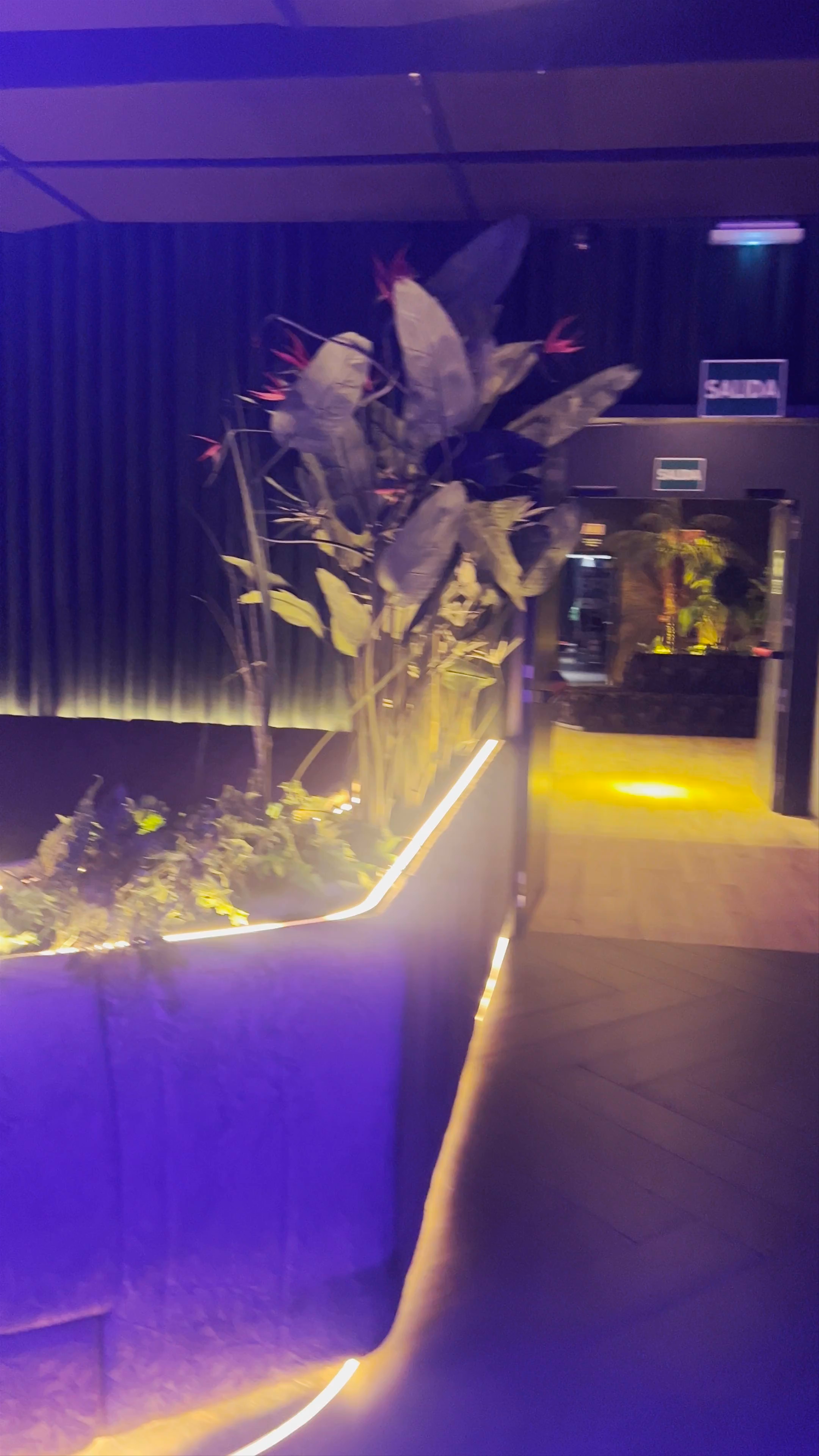 Night Vibes at El Club by ODISEO in Murcia, Spain