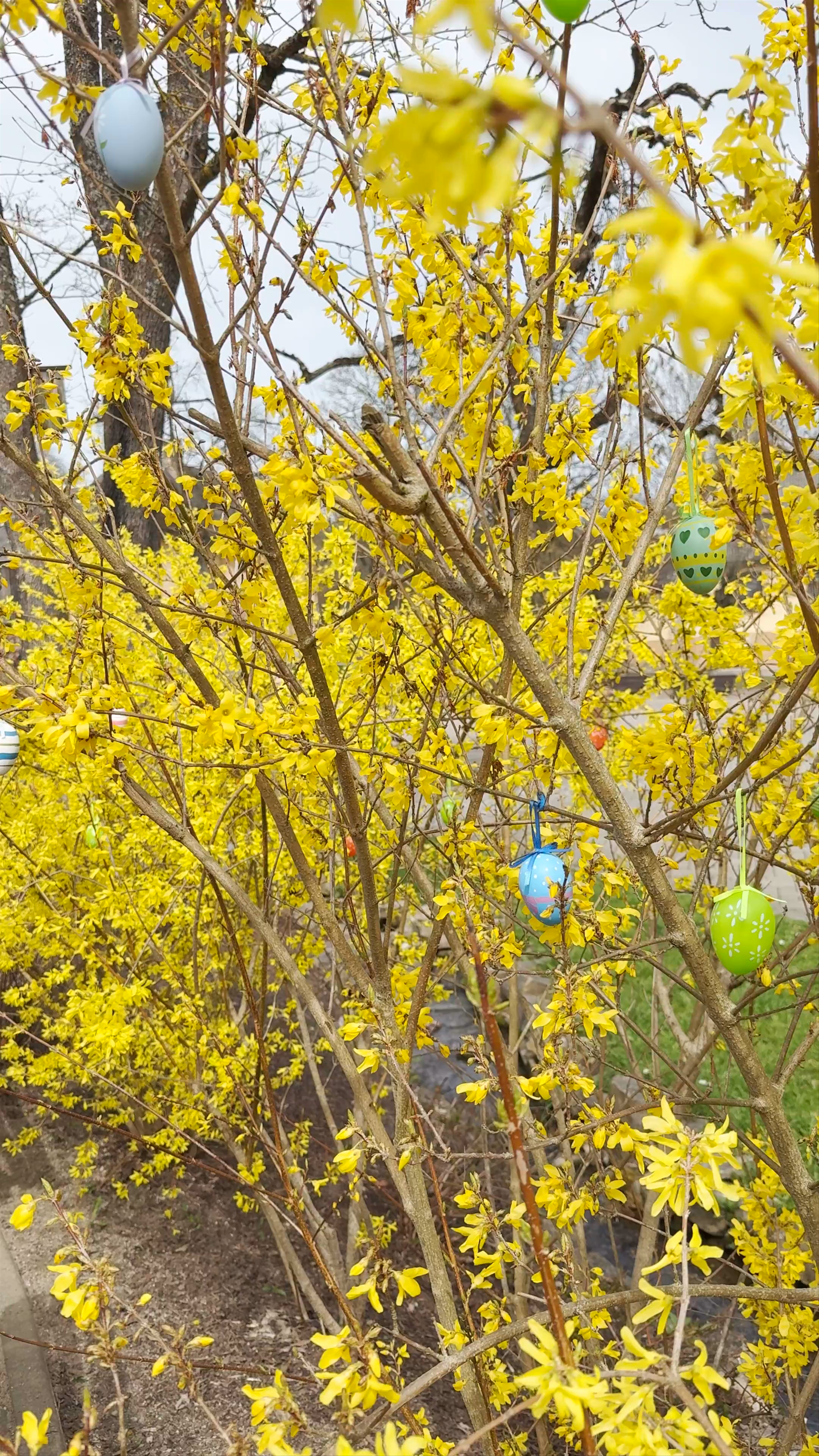 Promenade of the old town of Kandava