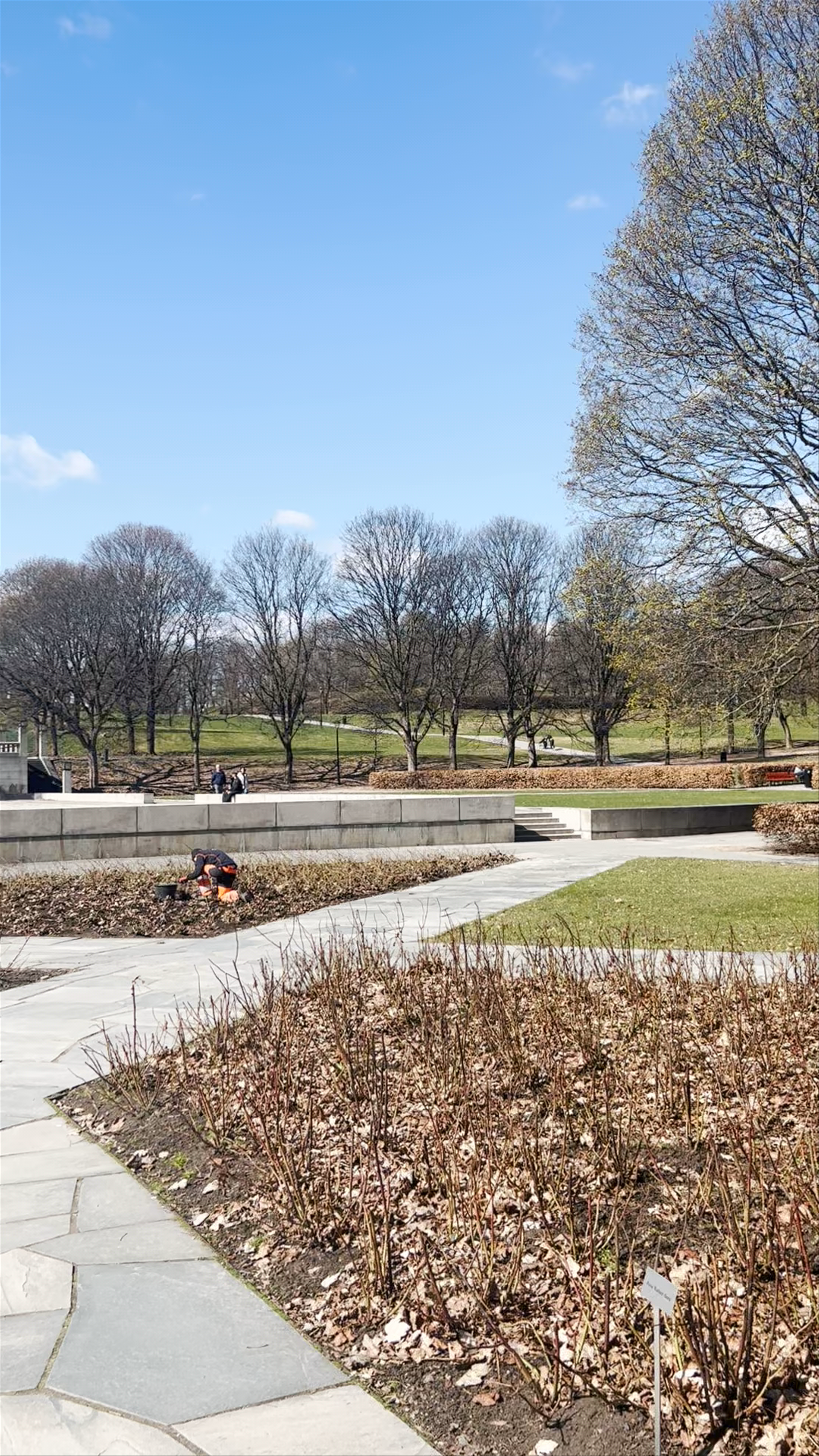 Spring Awakening at Vigelandsparken in Oslo