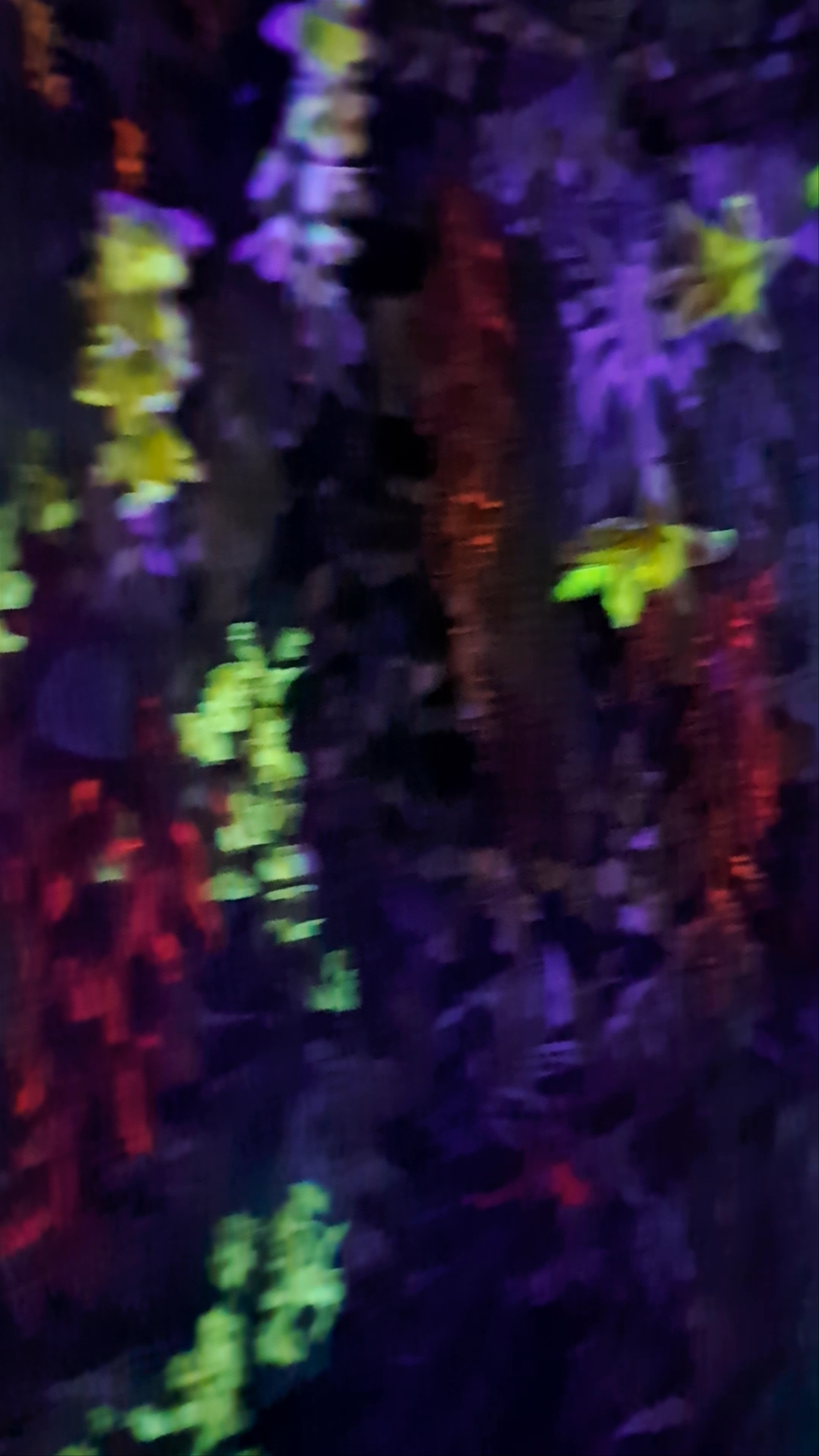 Sweet Space Museum: A Psychedelic Floral Immersive Experience in Madrid