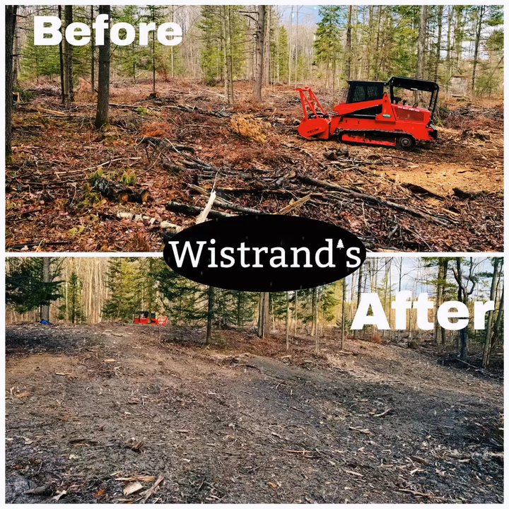 Wistrands - Getting this logging mess cleaned up - Tree Services Near Me - Kingsley, Michigan