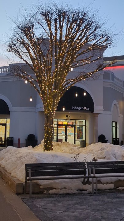 Tanger Outlets Deer Park - Outlet Stores Near Me - Deer Park, New York
