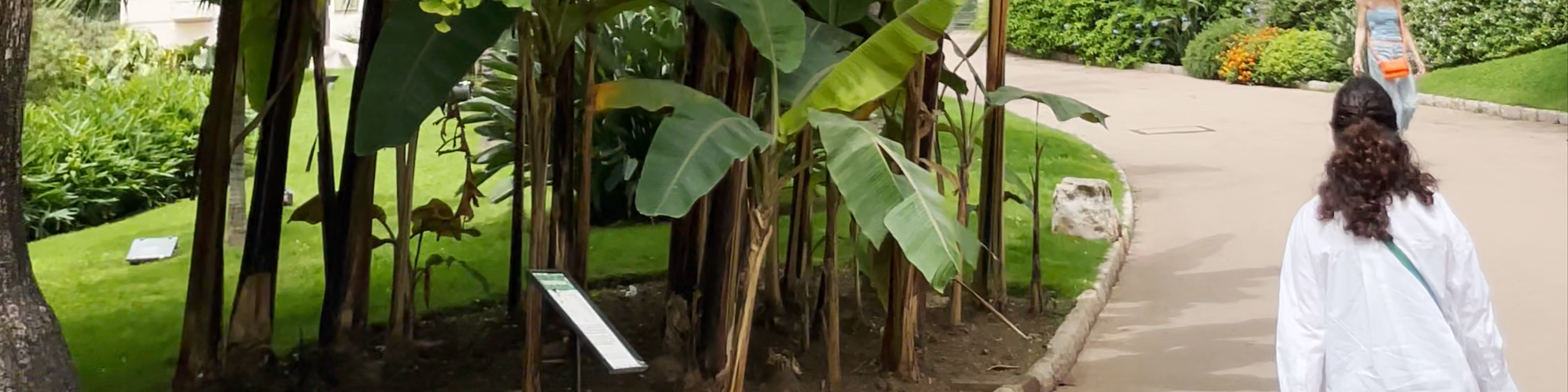 Jardins de la Petite Afrique