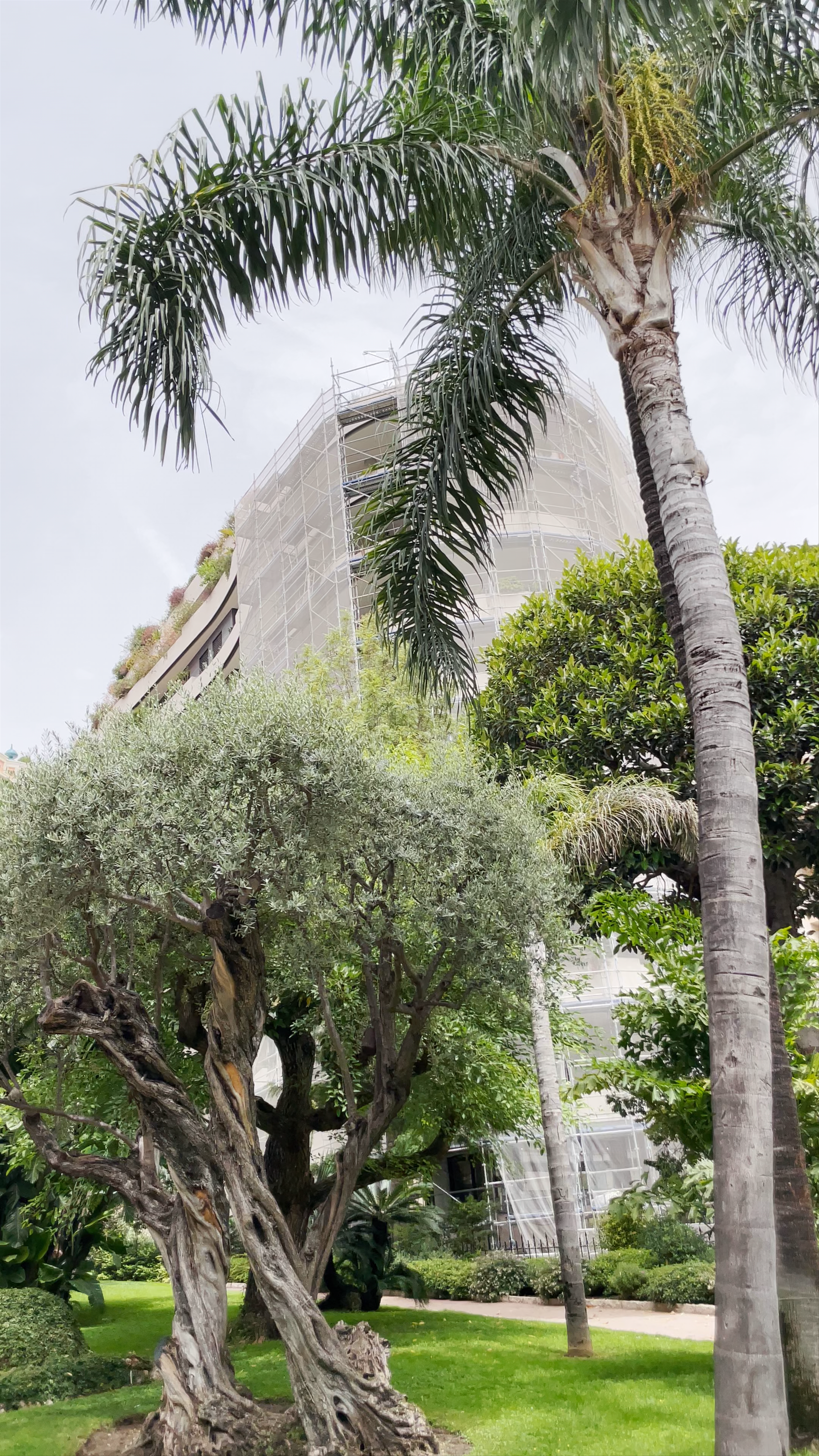 Jardins de la Petite Afrique