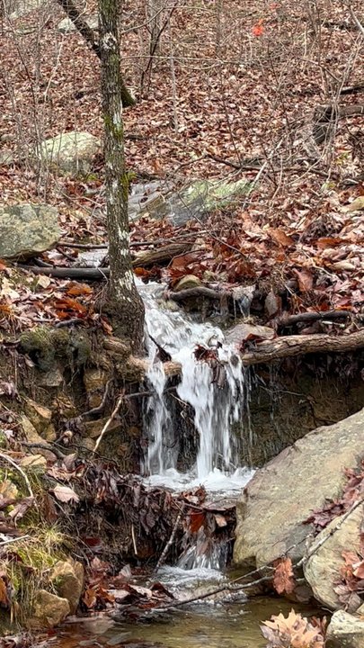 Prentice Cooper State Forest - Parks Near Me - Chattanooga, Tennessee