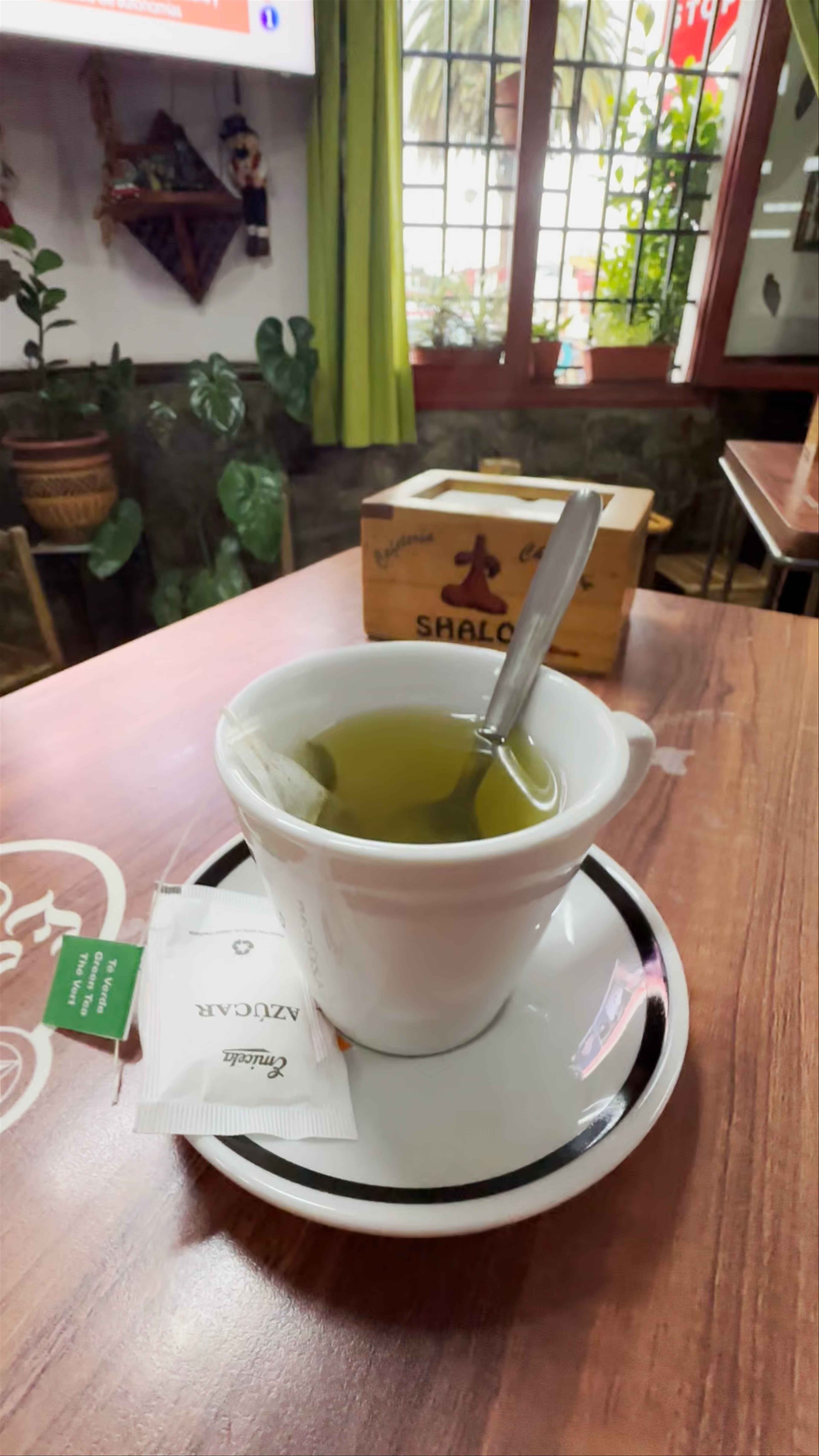 Cozy Green Tea Moment at Cafeteria Churreria Shalom in Teror, Spain