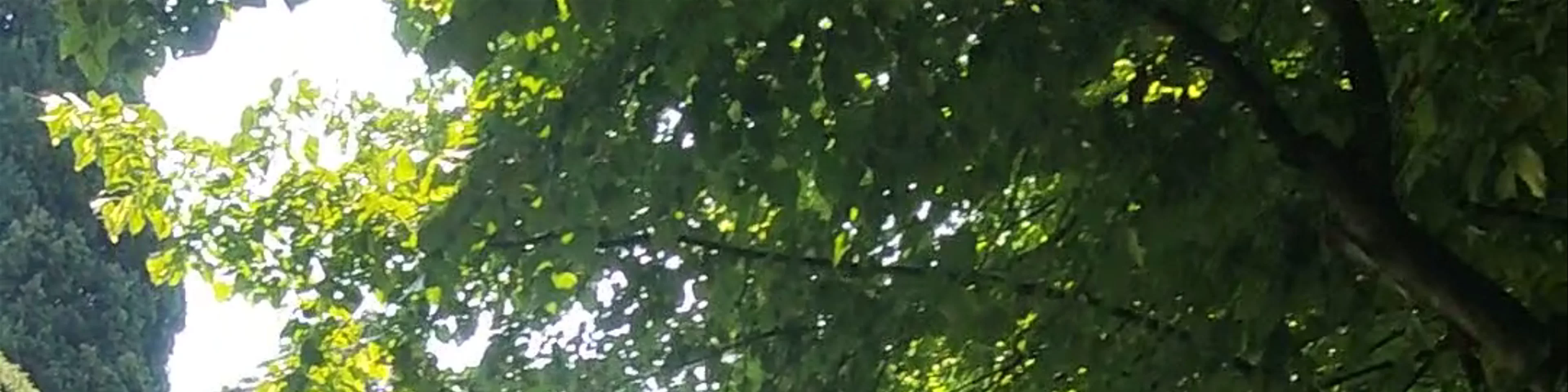 Parco Maria Callas