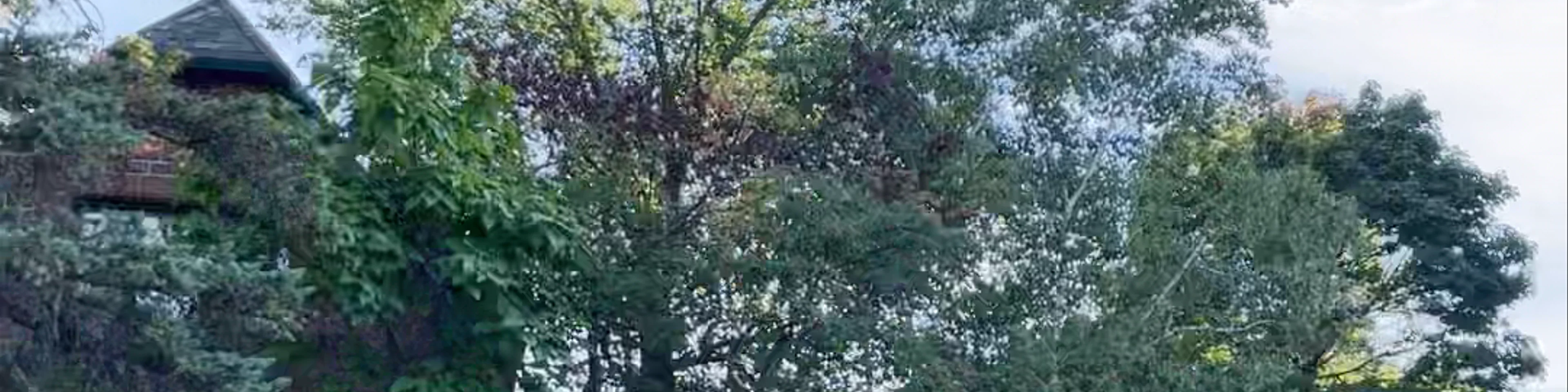 Le Jardin du Chemin de la Croix