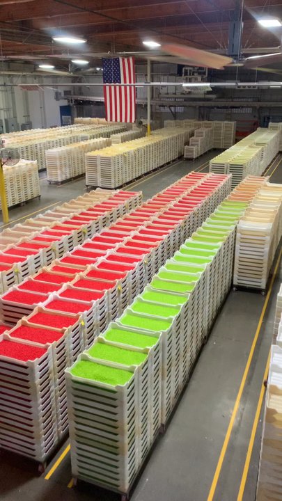 Jelly Belly - Candy Stores Near Me - Vacaville, California