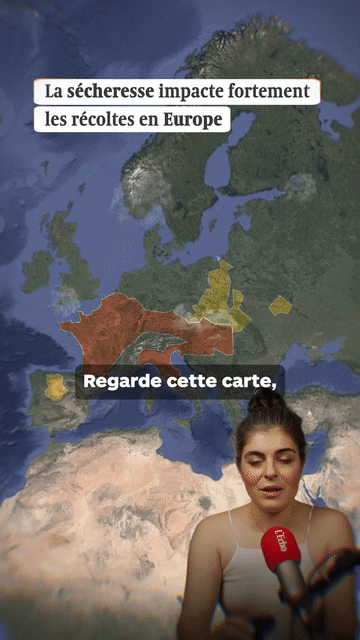 Preview for La sécheresse impacte fortement les récoltes en Europe