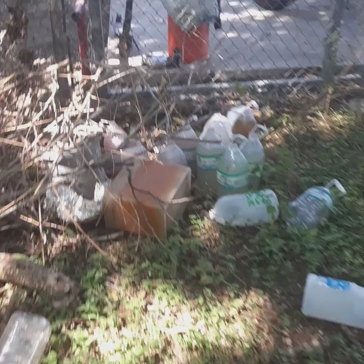 Ross Rides - Employee/PREDATOR/PERVERT/family member waits until I come out to my backyard to do this! This is predatory behavior and it needs to stop! - Car Dealers Near Me - Austin, Texas