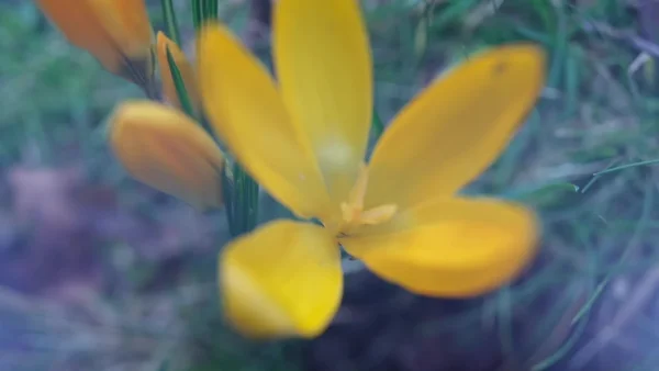 Personal Project - © Artlist