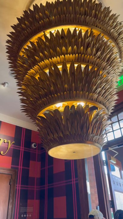 SCADstory - Art Schools Near Me - Savannah, Georgia