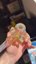 Small image 9