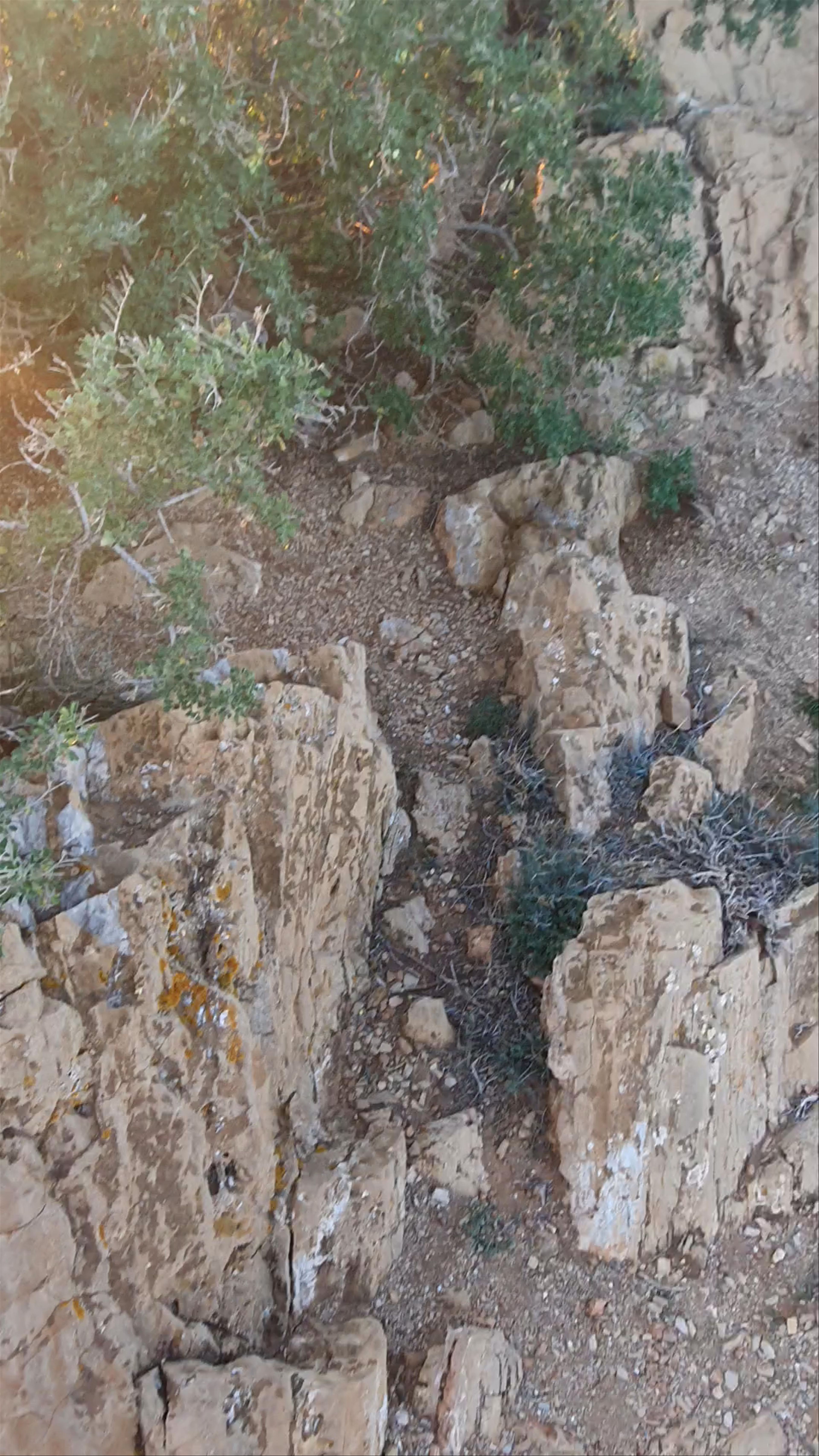 Archaeological Site of Sounion