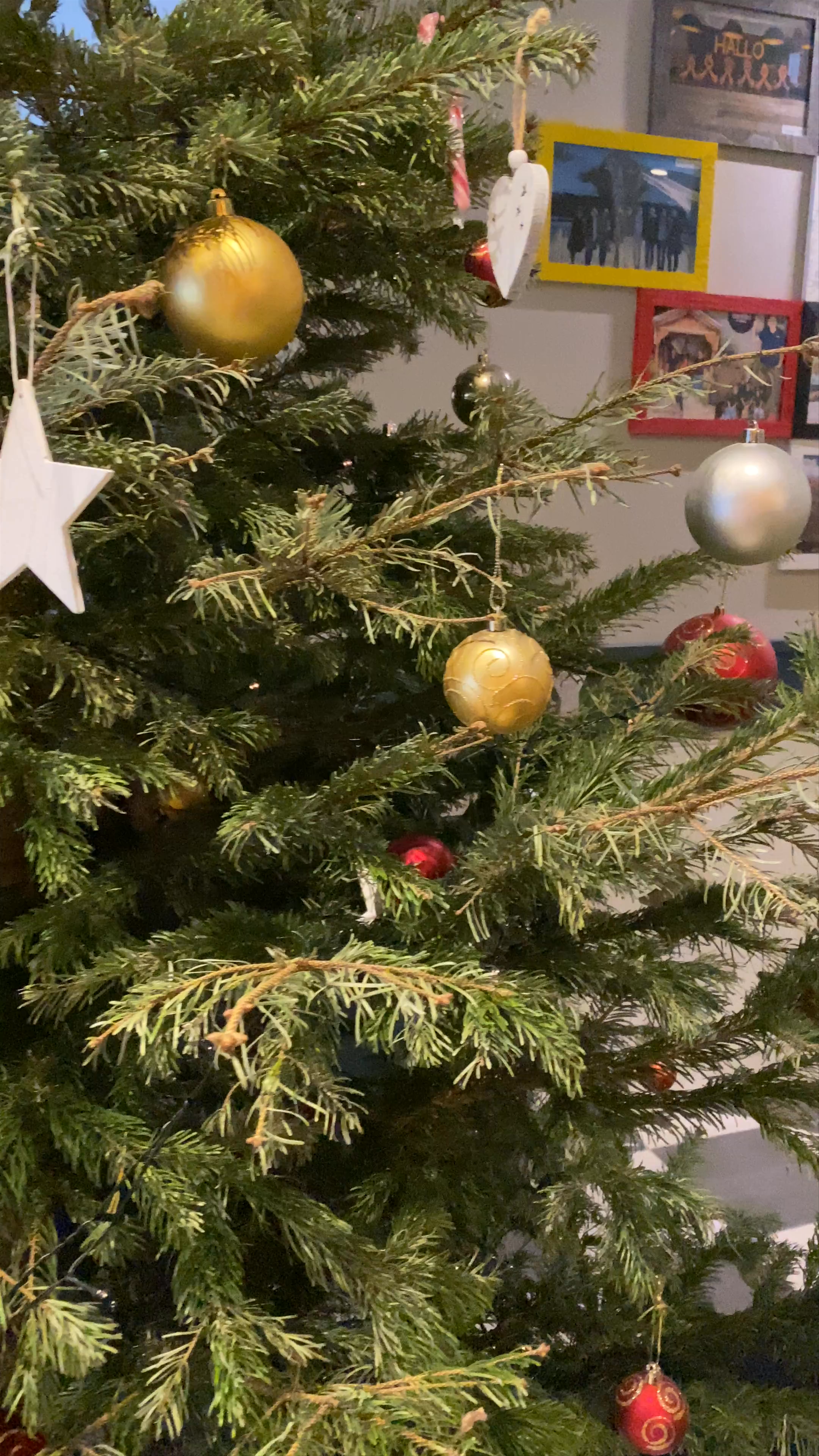 Contiki Haus Schöneck