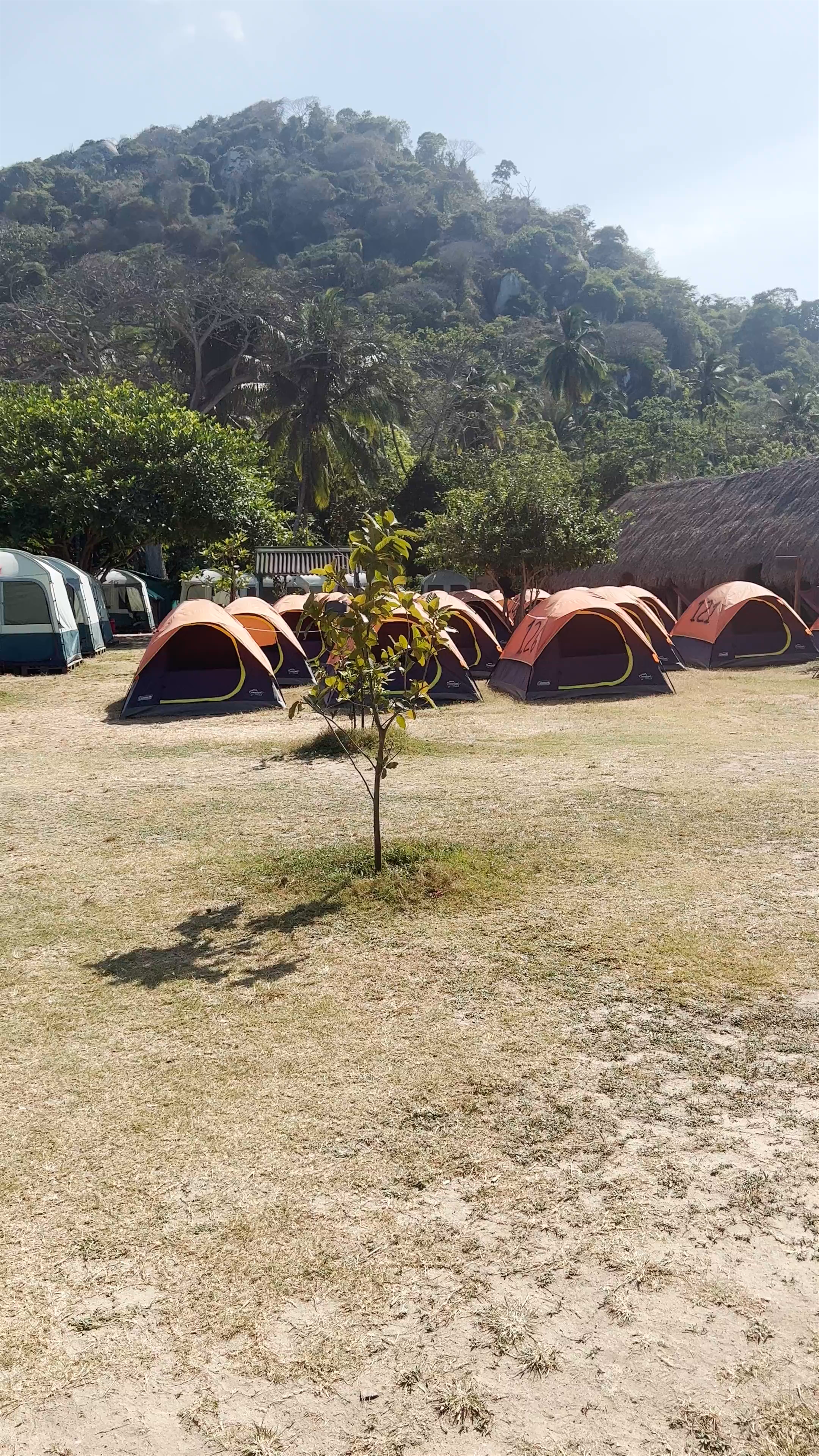 Camping Adventure at Tayrona National Park, Colombia
