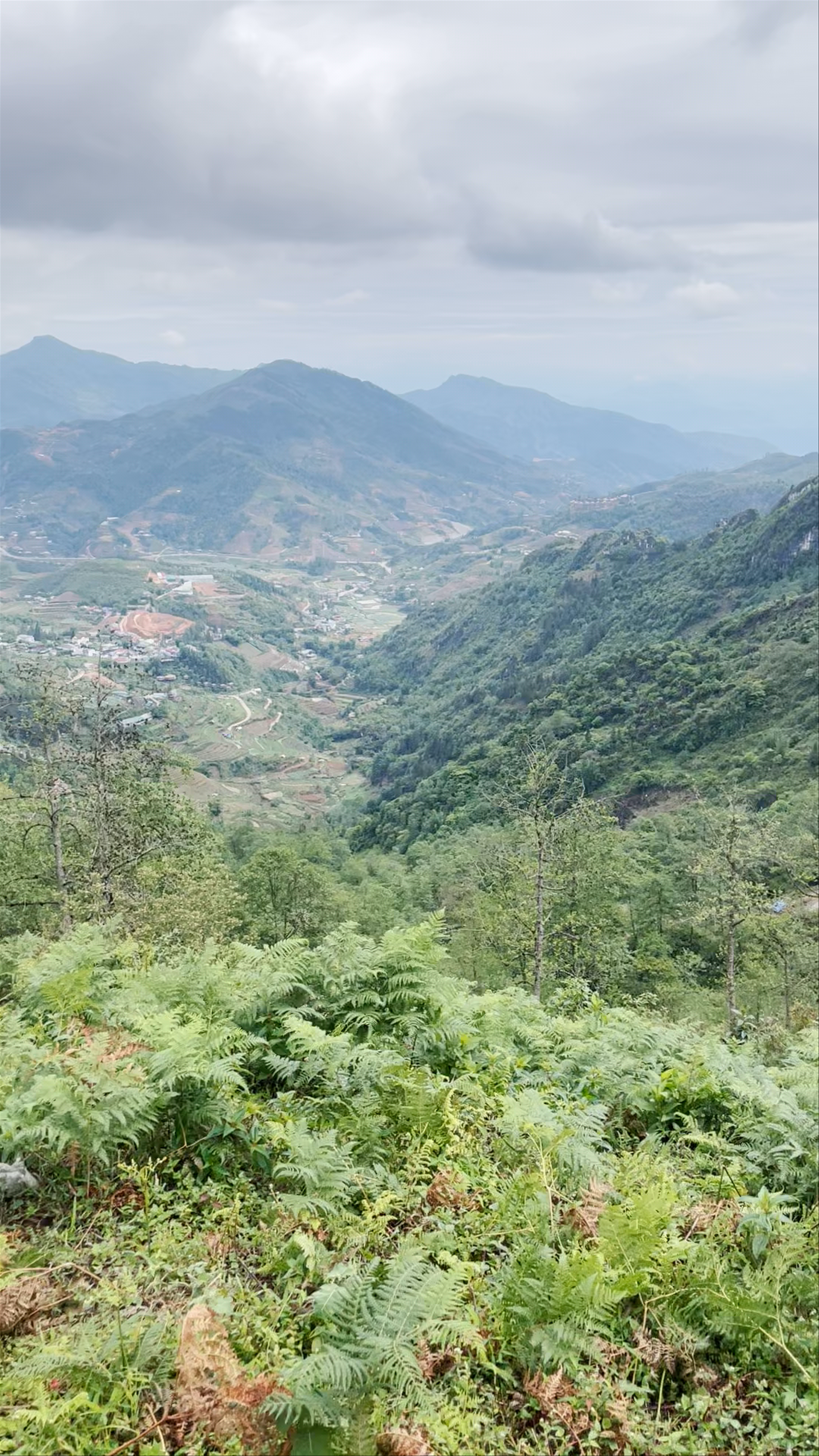 Overlooking the Misty Mountains of Sa Pa, Vietnam