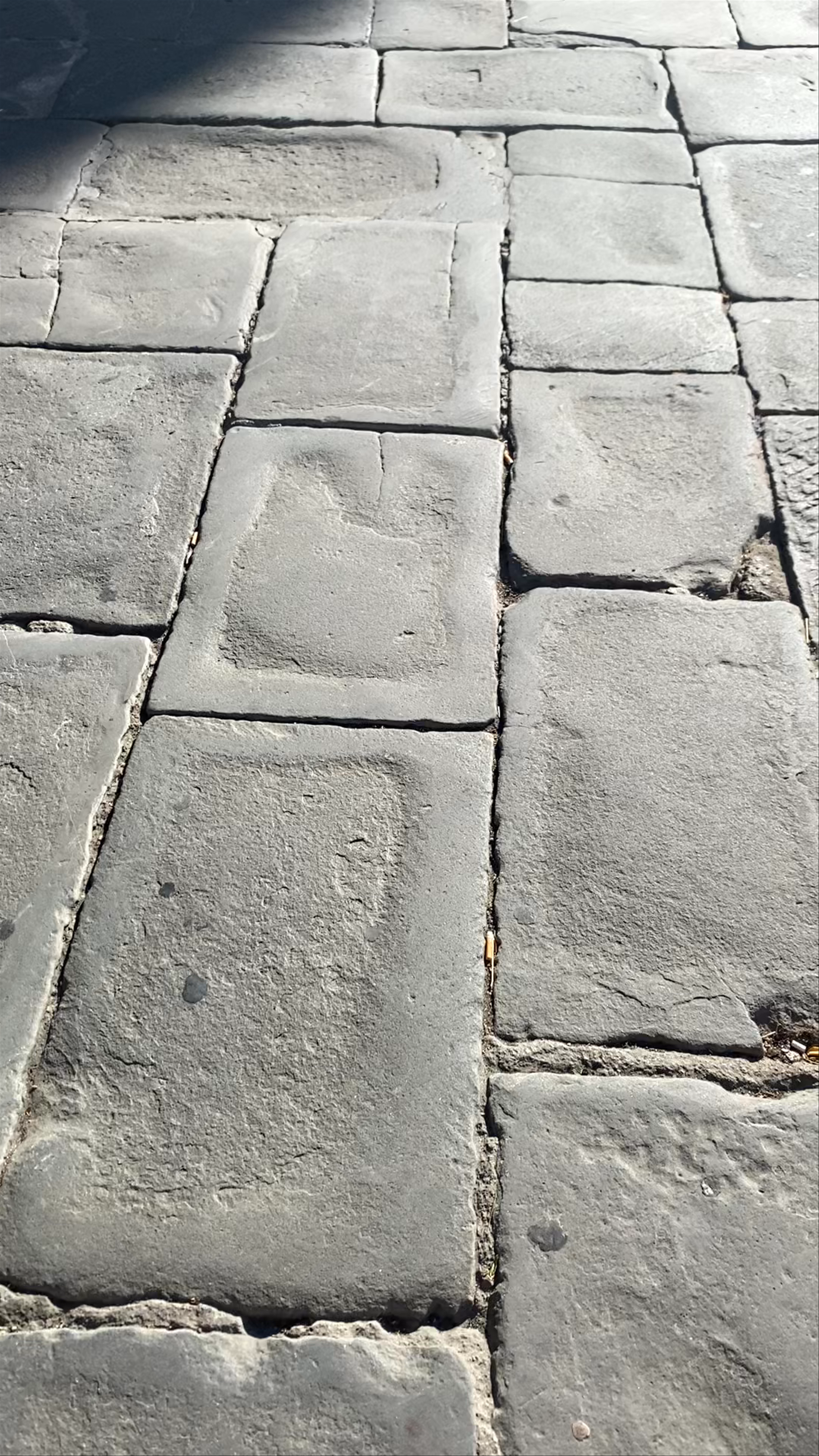Piazza della Signoria: Historic Heartbeat of Florence