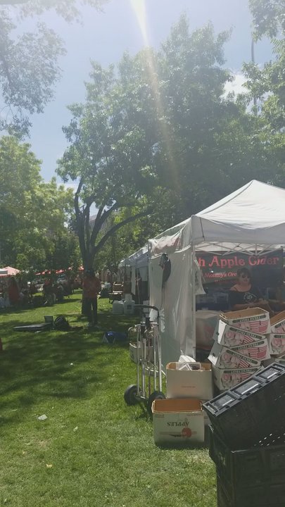 Robinson Park - Parks Near Me - Albuquerque, New Mexico